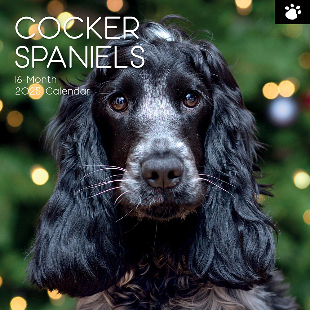 2025 Cocker Spaniels - Square Wall Calendar