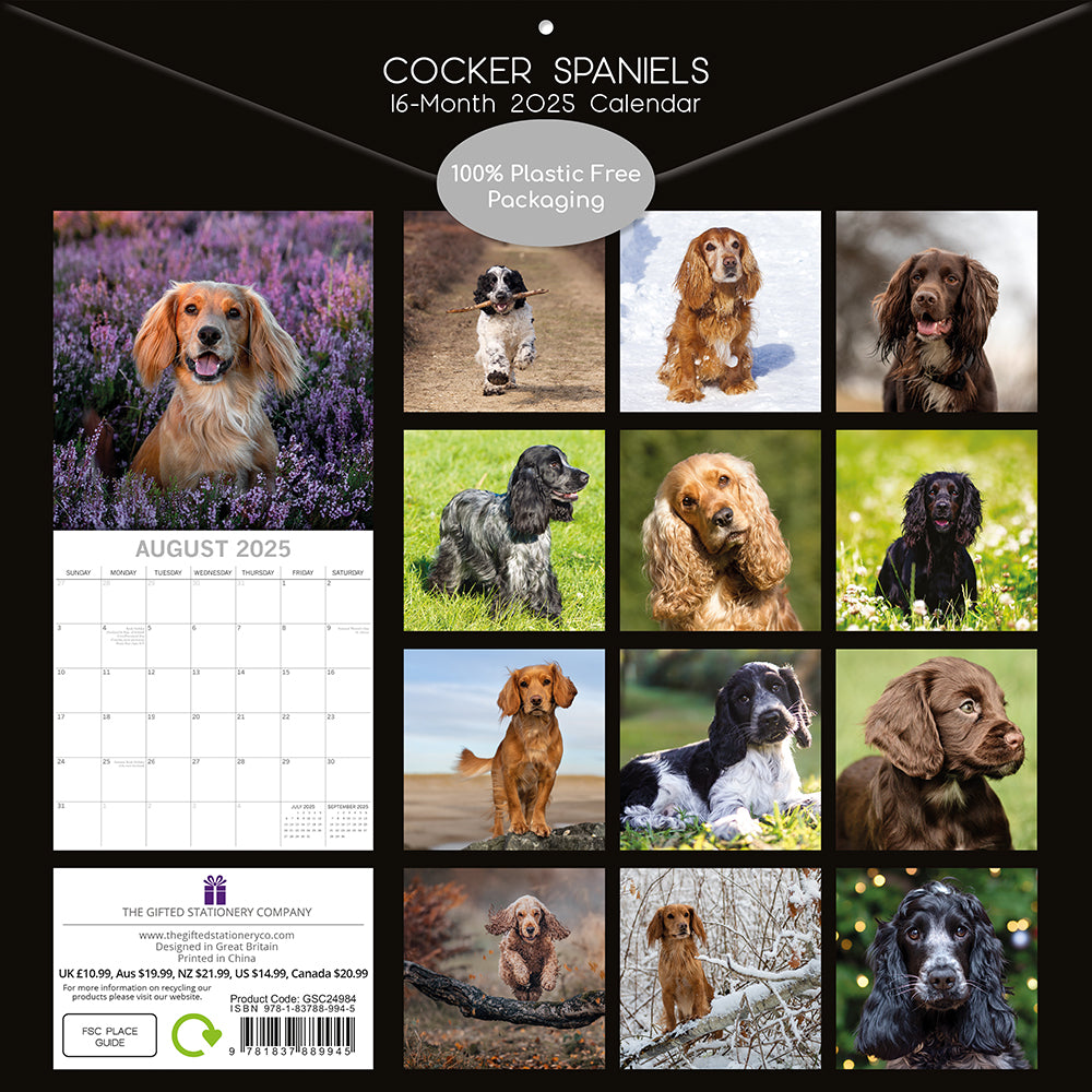 2025 Cocker Spaniels - Square Wall Calendar