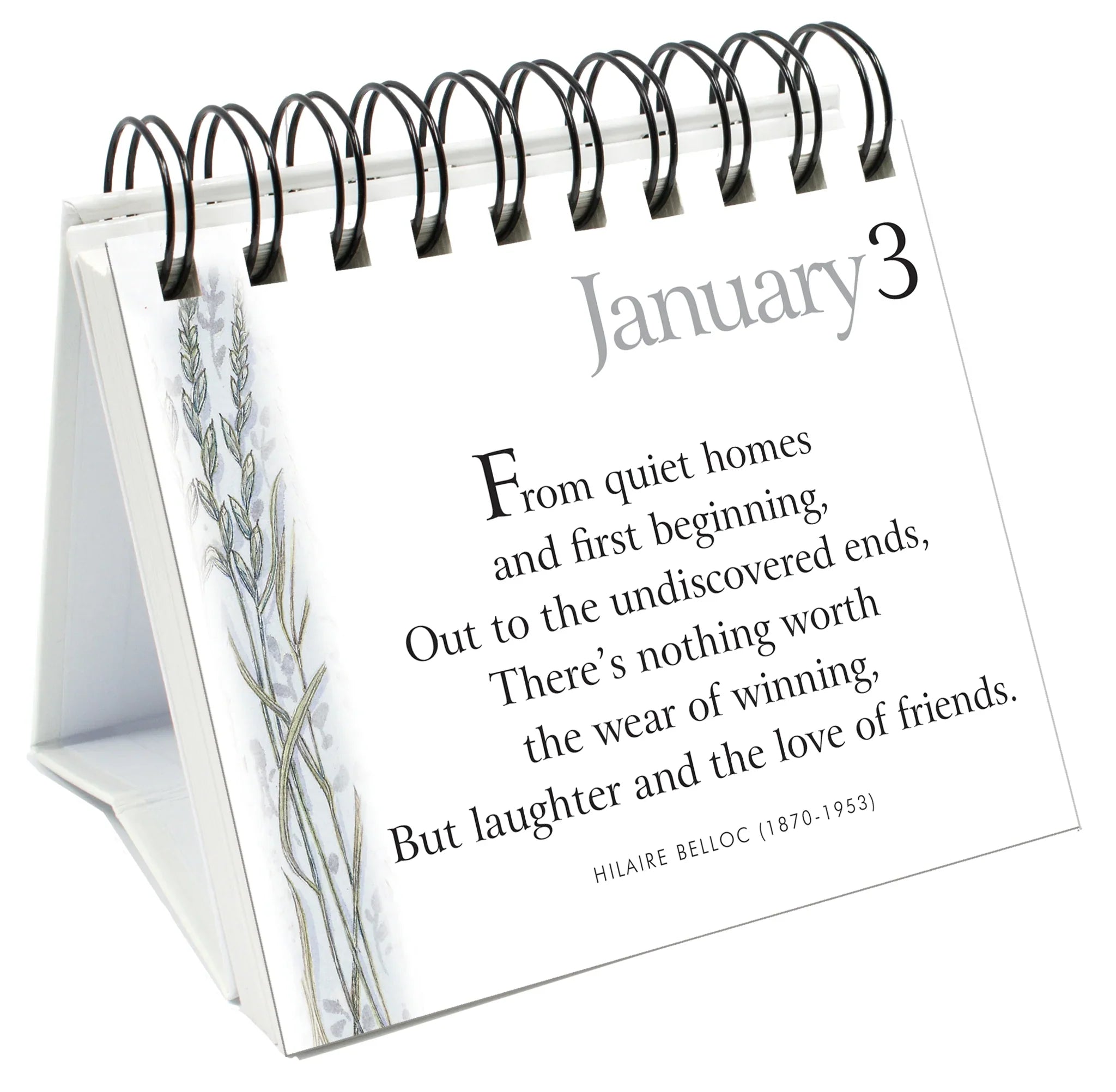 365 Great Days - Friendship - Page-A-Day Desk Easel Calendar