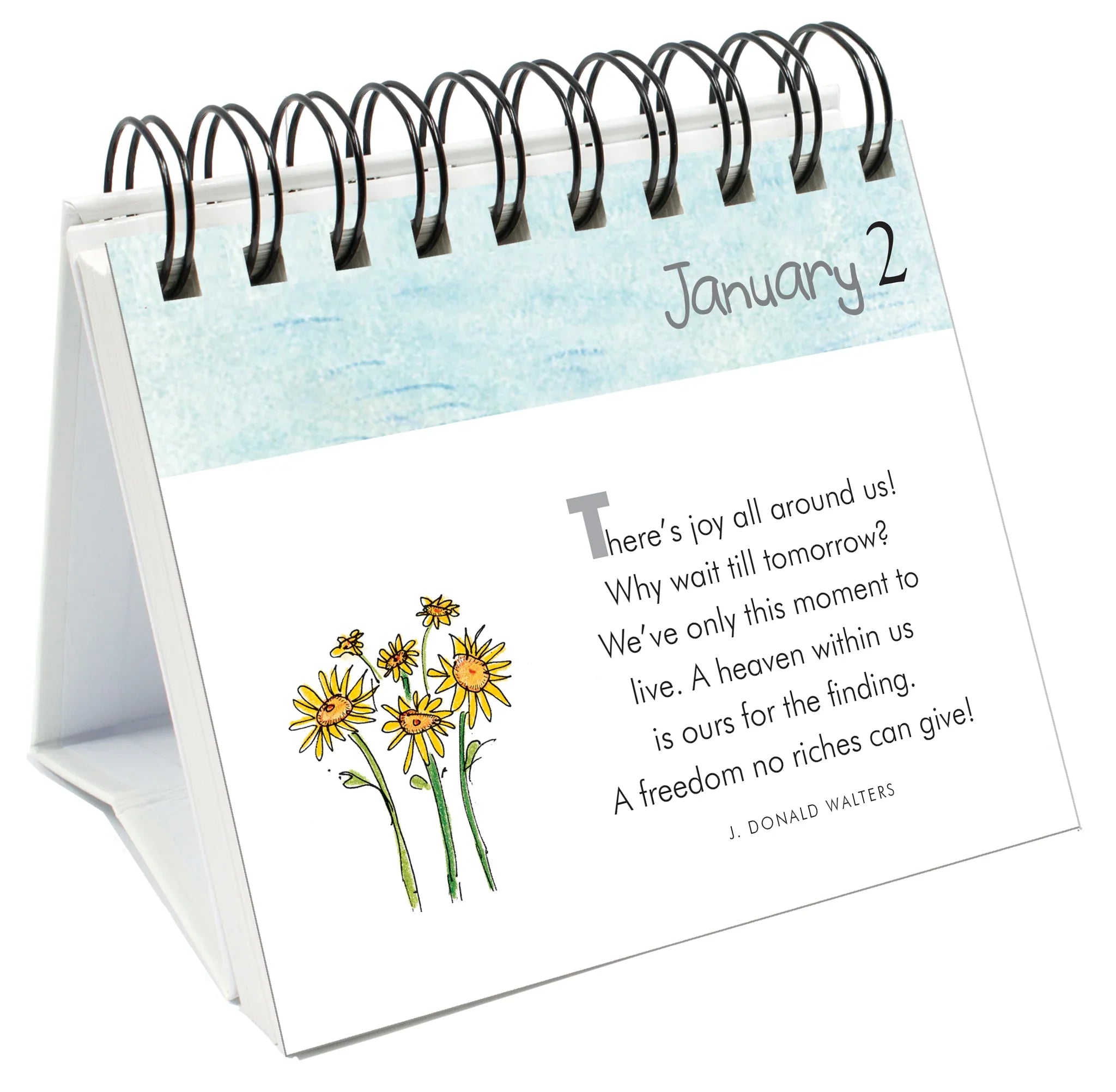 365 Happy Days! - Page-A-Day Desk Easel Calendar