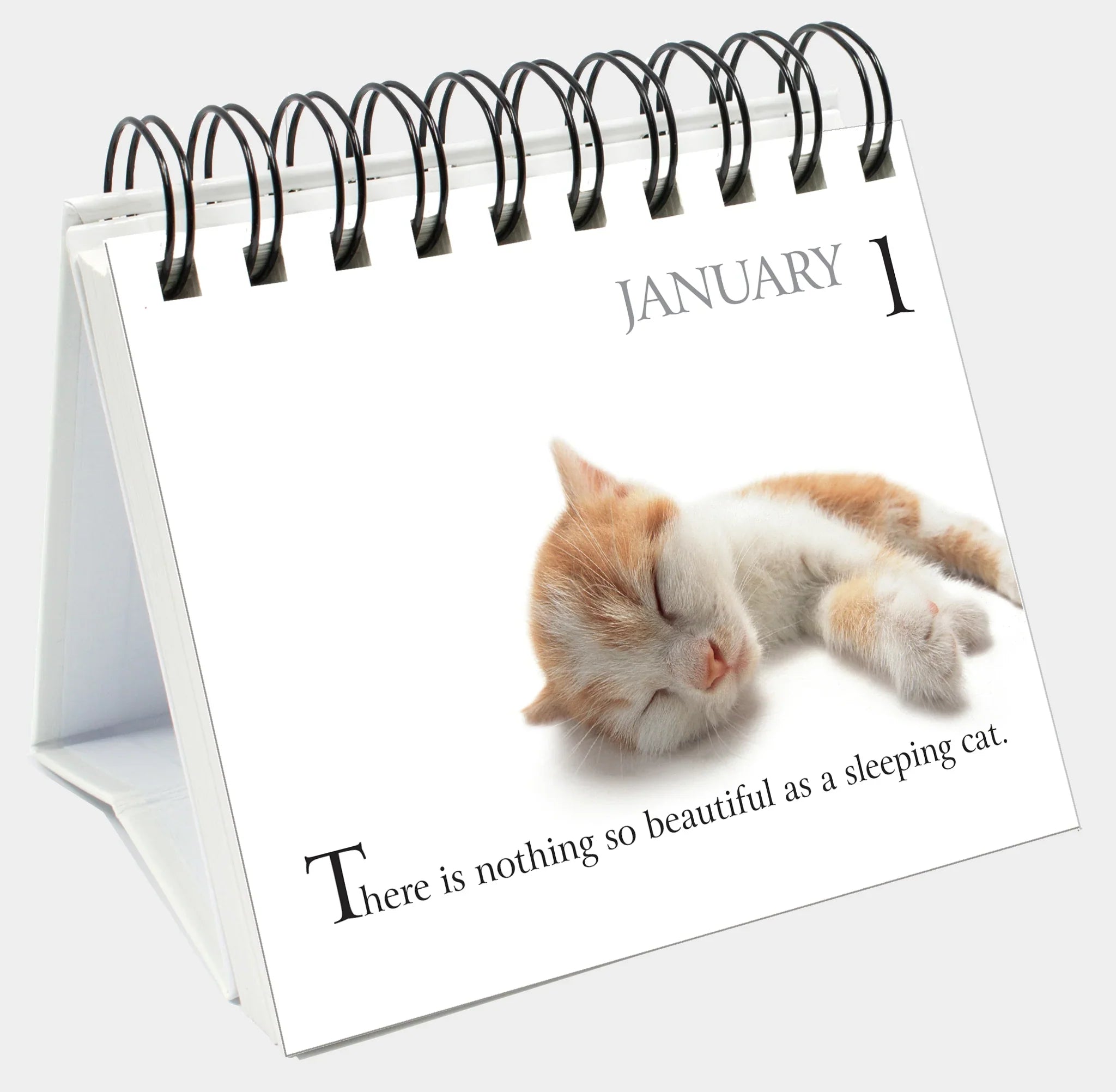 365 Days With My Bossy Cat - Page-A-Day Desk Easel Calendar