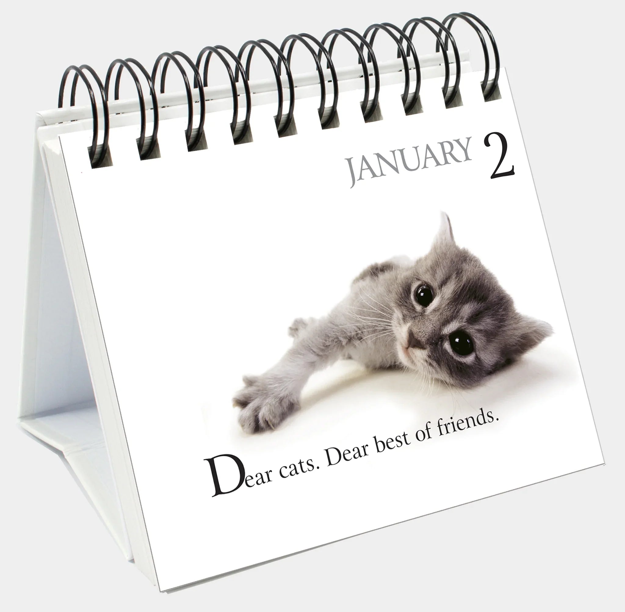 365 Days With My Bossy Cat - Page-A-Day Desk Easel Calendar