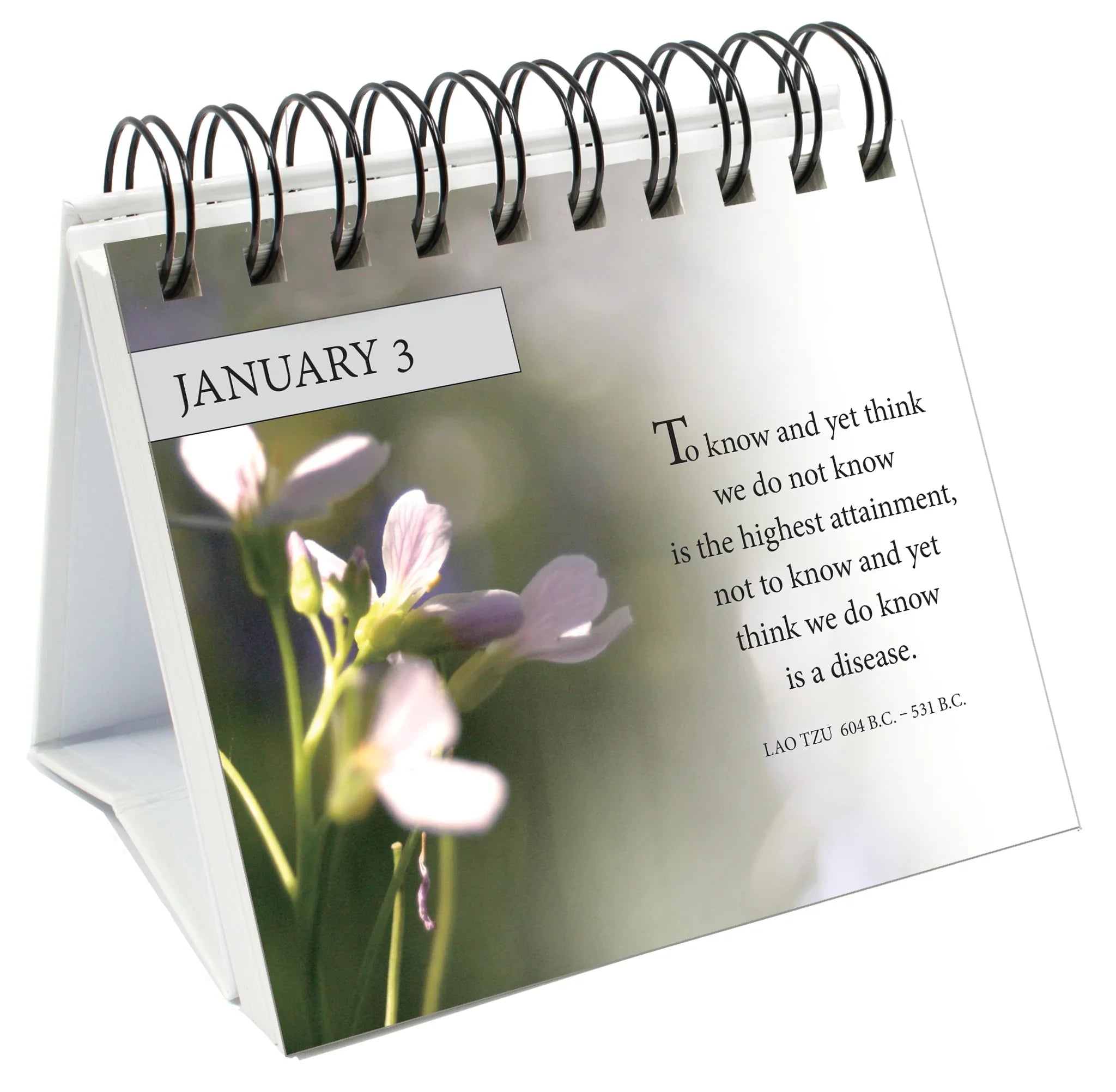 365 Words To Live By - Page-A-Day Desk Easel Calendar