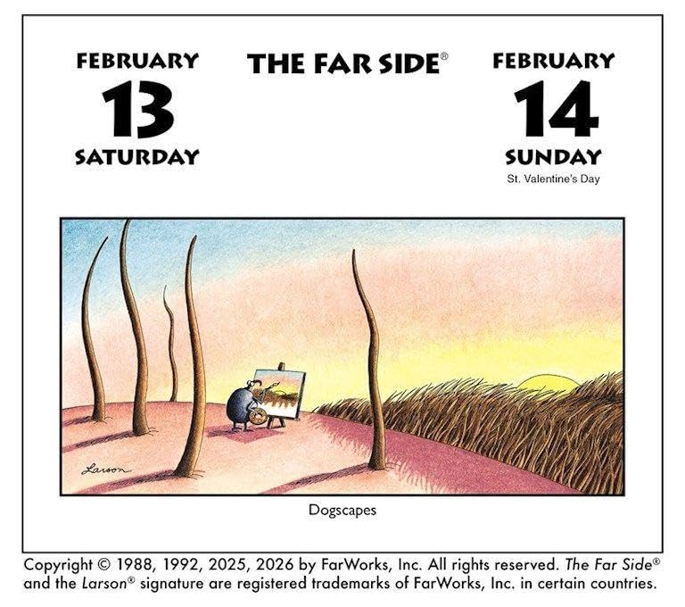 2027 Far Side Off-the-Wall - Daily Boxed Page-A-Day Calendar
