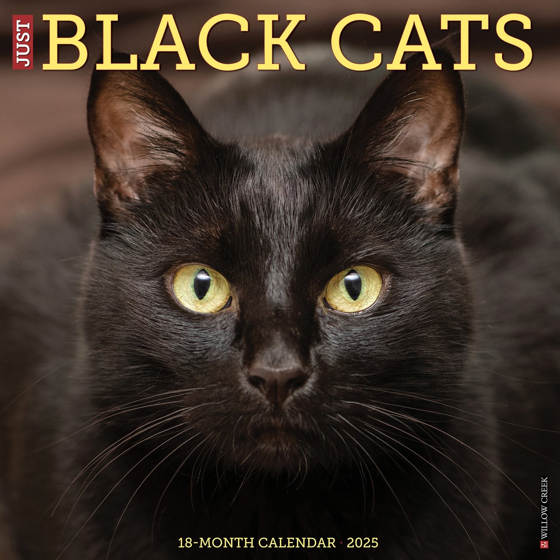 2025 Black Cats - Square Wall Calendar (US Only)