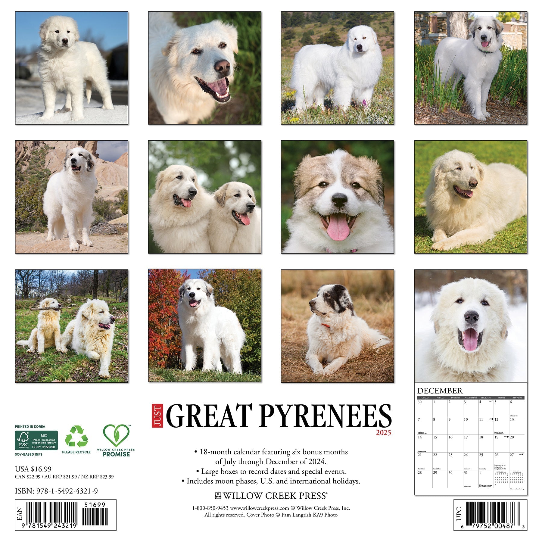 2025 Great Pyrenees - Square Wall Calendar (US Only)