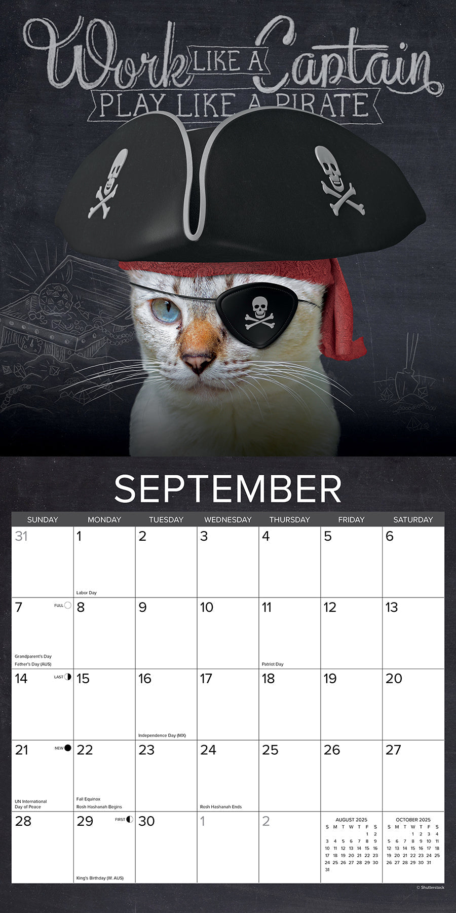 2025 Catspirations - Square Wall Calendar (US Only)