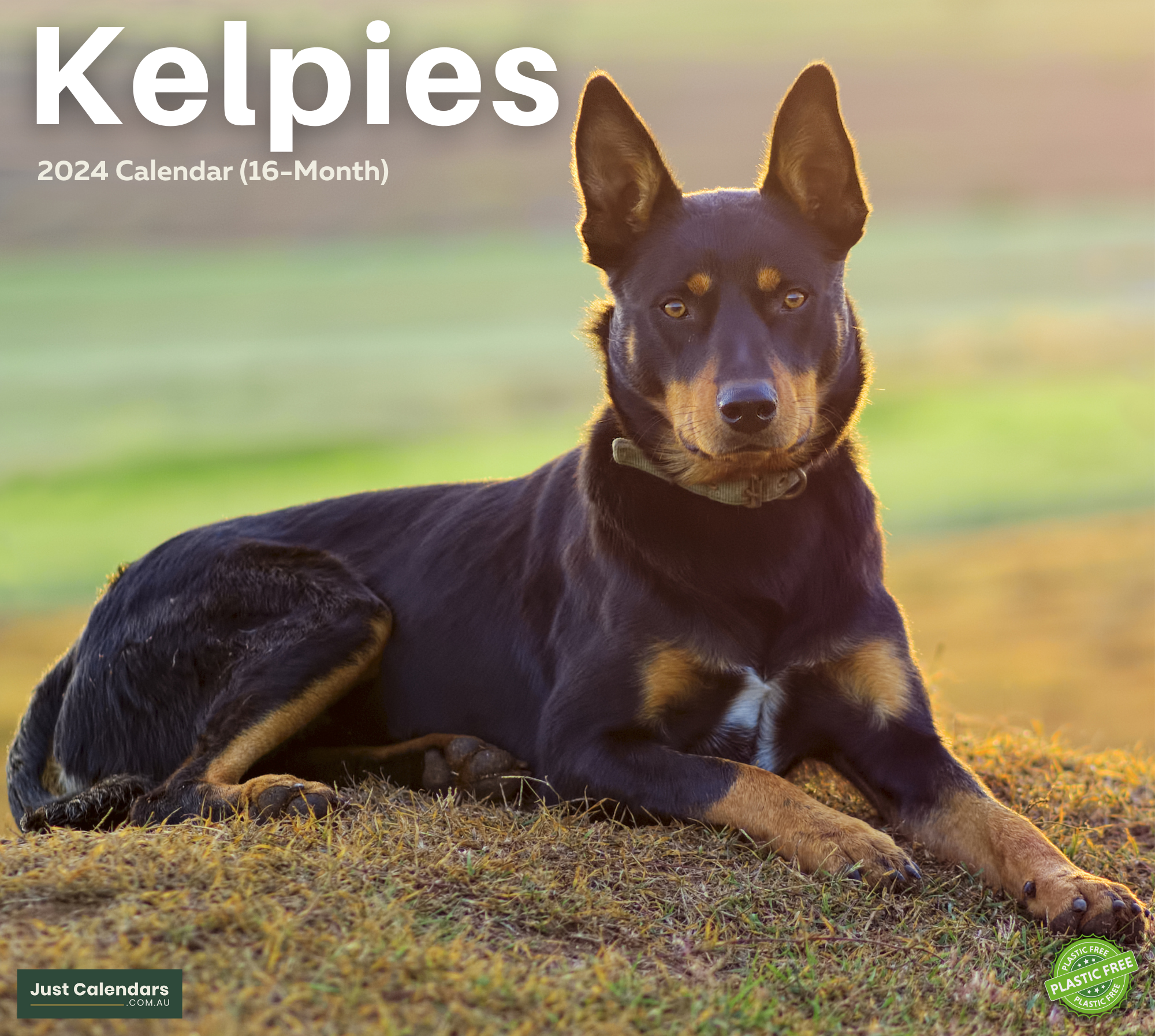 2024 Kelpies Dogs & Puppies - Deluxe Wall Calendar by Just Calendars - 16 Month - Plastic Free