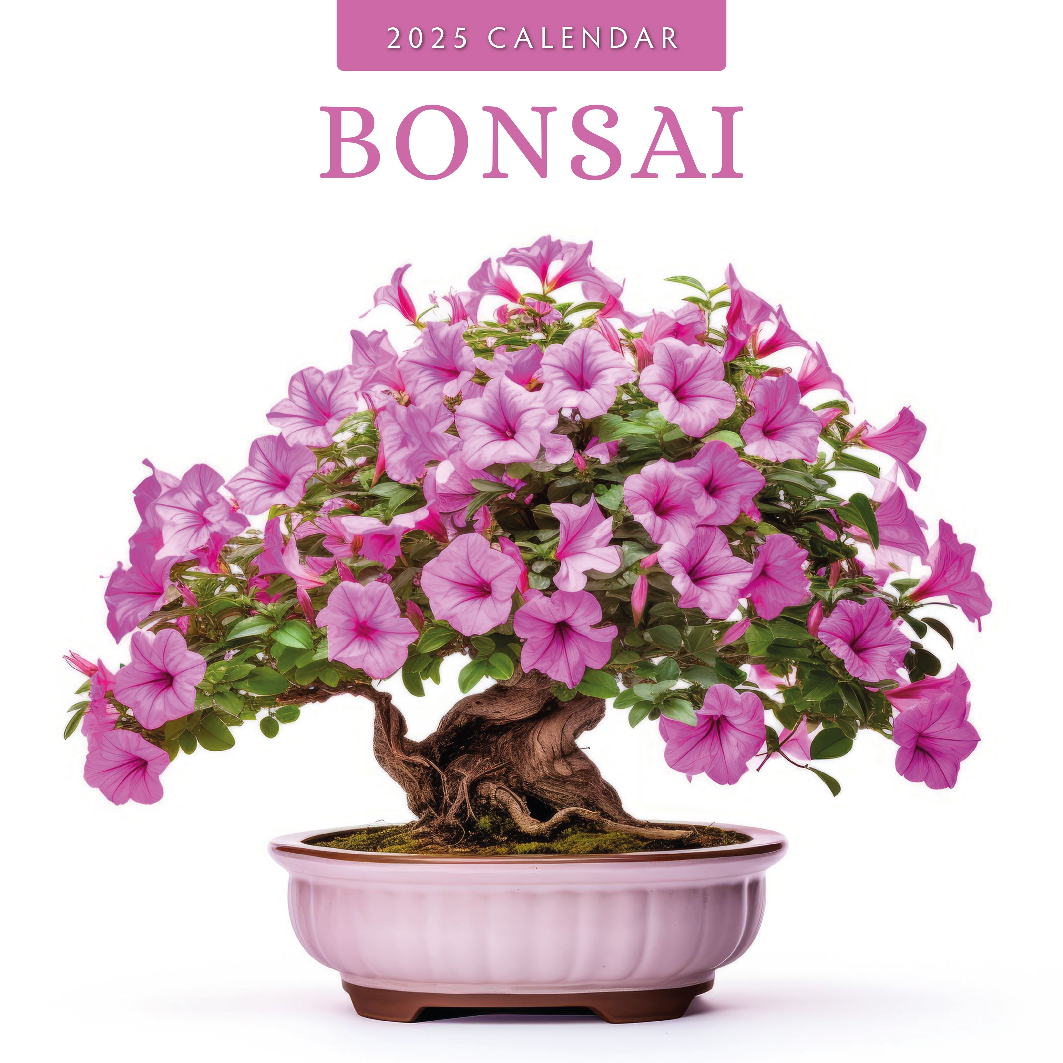 2025 Bonsai - Square Wall Calendar
