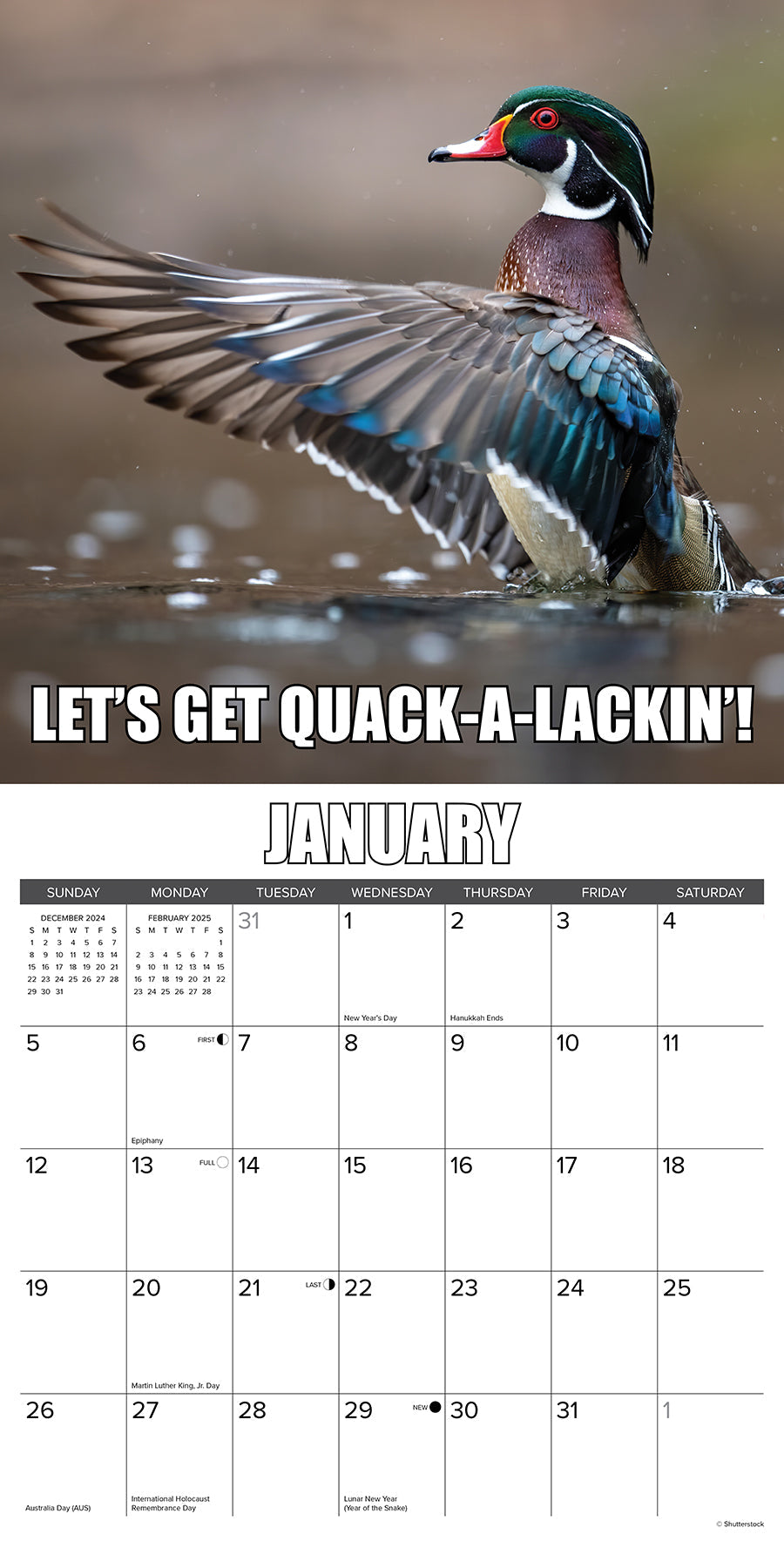 2025 Wise Quacking - Square Wall Calendar (US Only)