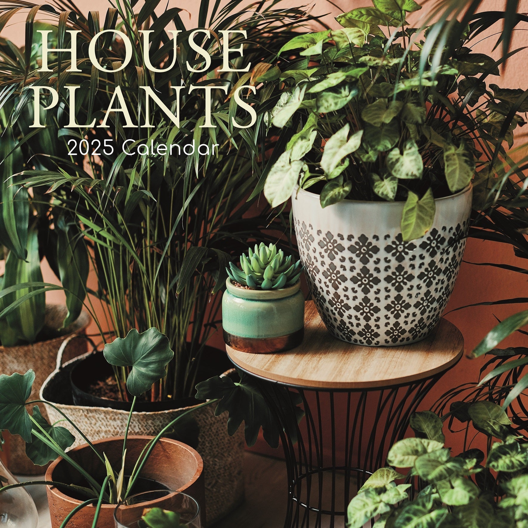 2025 House Plants - Square Wall Calendar
