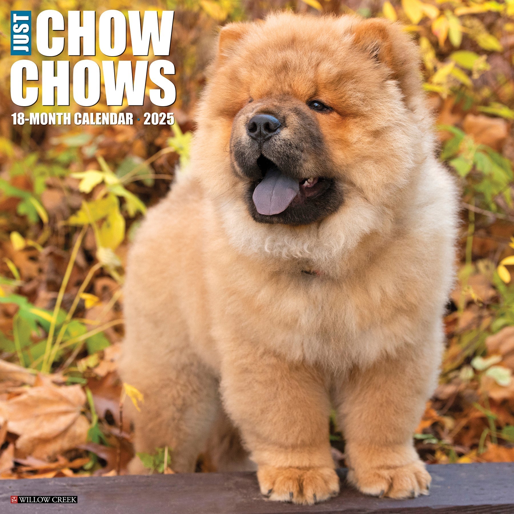 2025 Chow Chows - Square Wall Calendar (US Only)