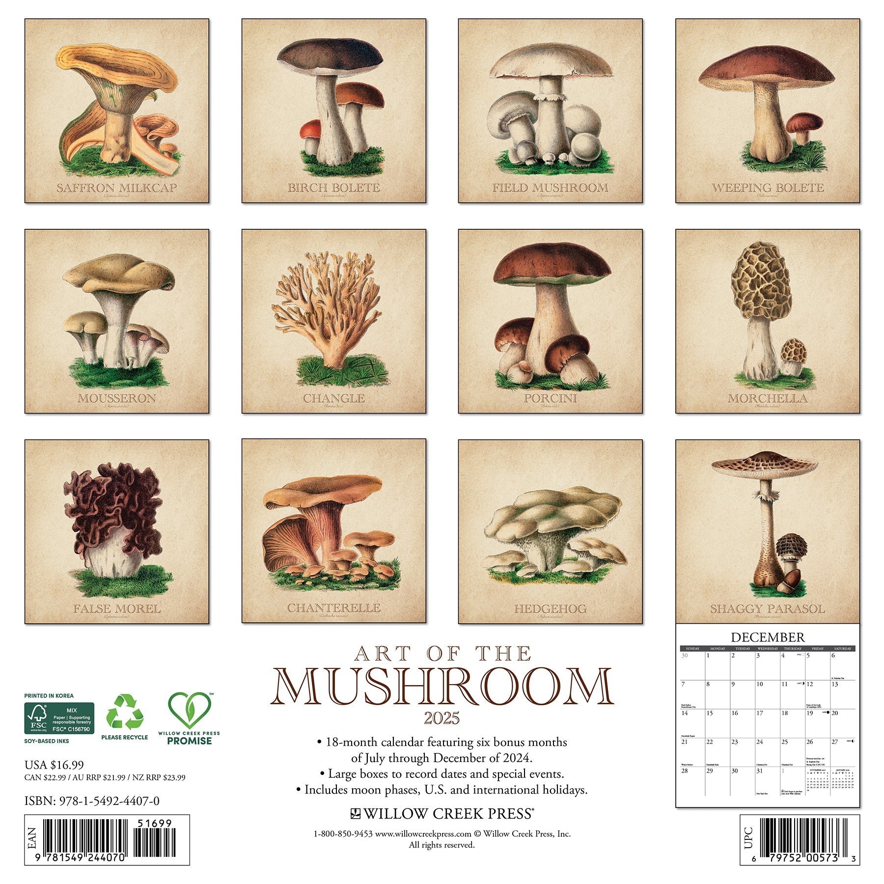 2025 Art of the Mushroom - Square Wall Calendar (US Only)