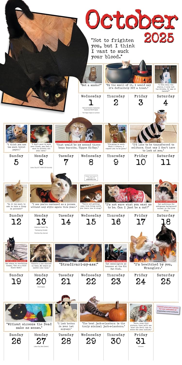 2025 Bad Cat - Square Wall Calendar
