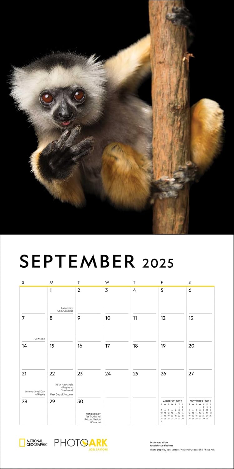 2025 National Geographic: Photo Ark - Endangered Species - Square Wall Calendar