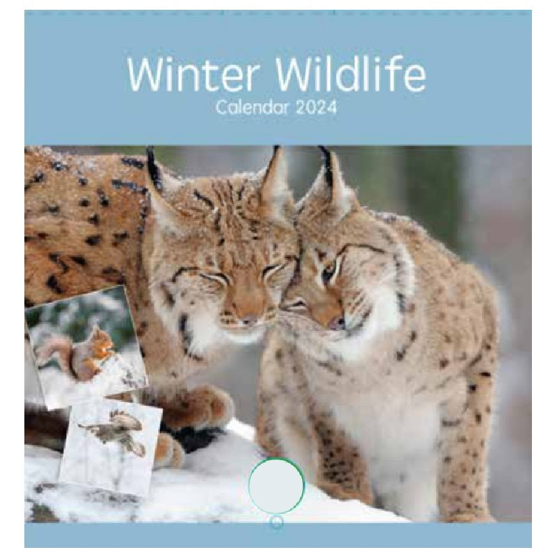 2024 Winter Wildlife - Square Wall Calendar  SOLD OUT