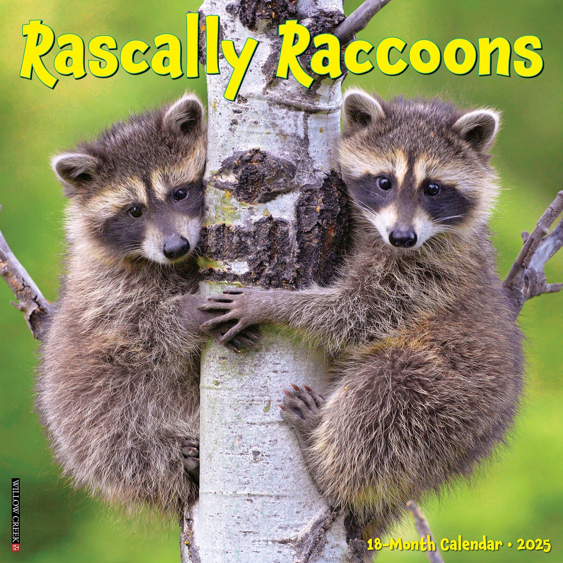 2025 Rascally Raccoons - Square Wall Calendar (US Only)