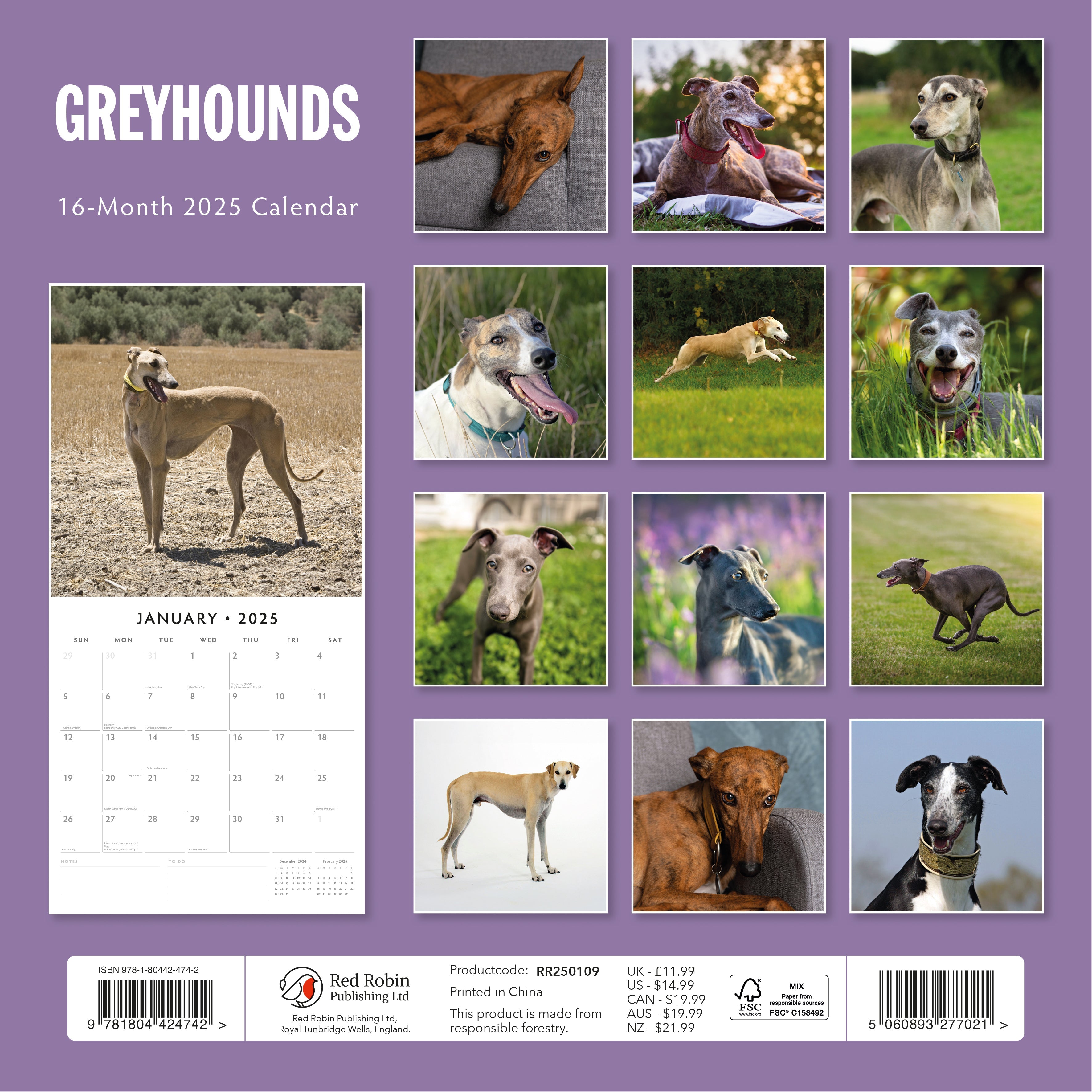 2025 Greyhounds - Square Wall Calendar