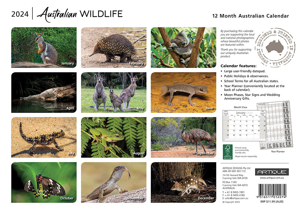2024 Australian Wildlife (by Artique) - Horizontal Wall Calendar