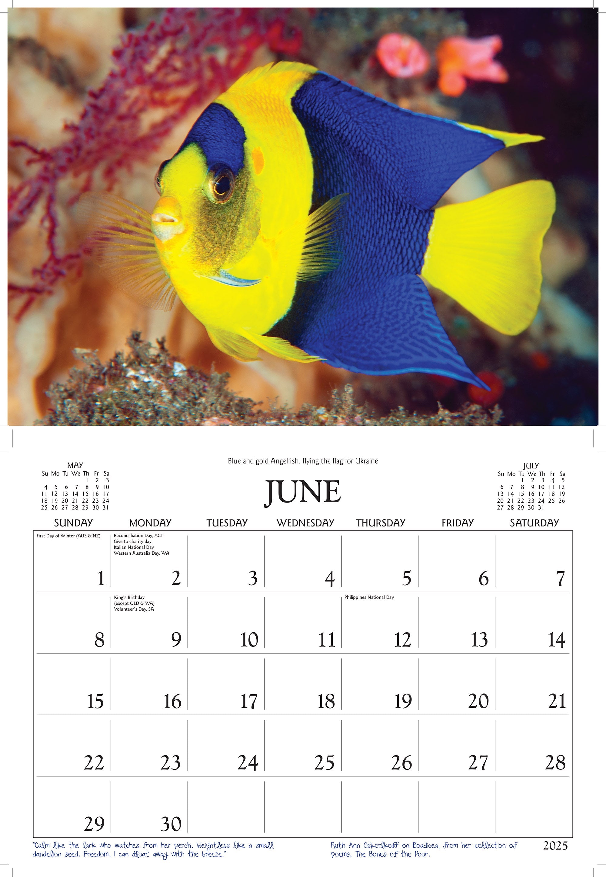 2025 Great Barrier Reef By David Messent - Horizontal Wall Calendar