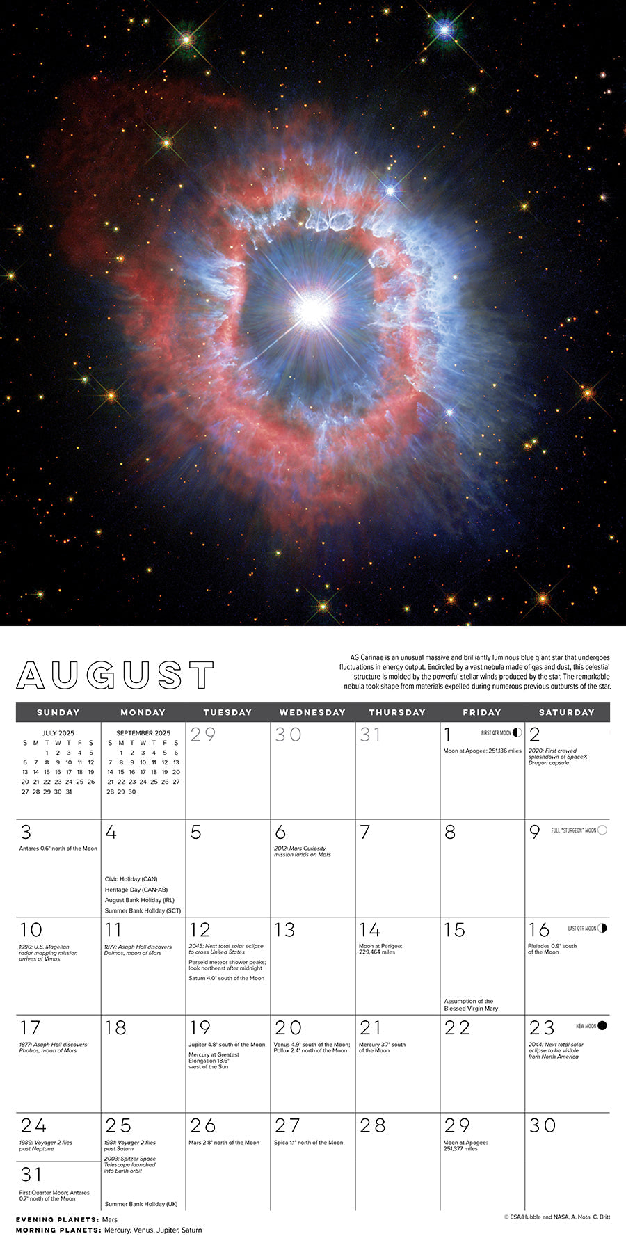 2025 Astronomy (w/foil) - Square Wall Calendar (US Only)