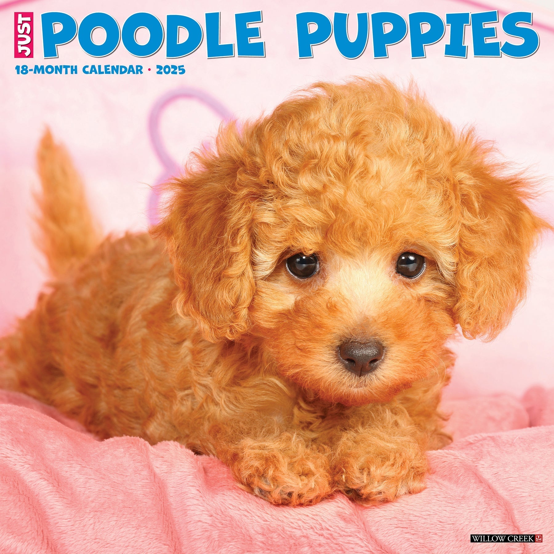 2025 Poodle Puppies - Square Wall Calendar (US Only)