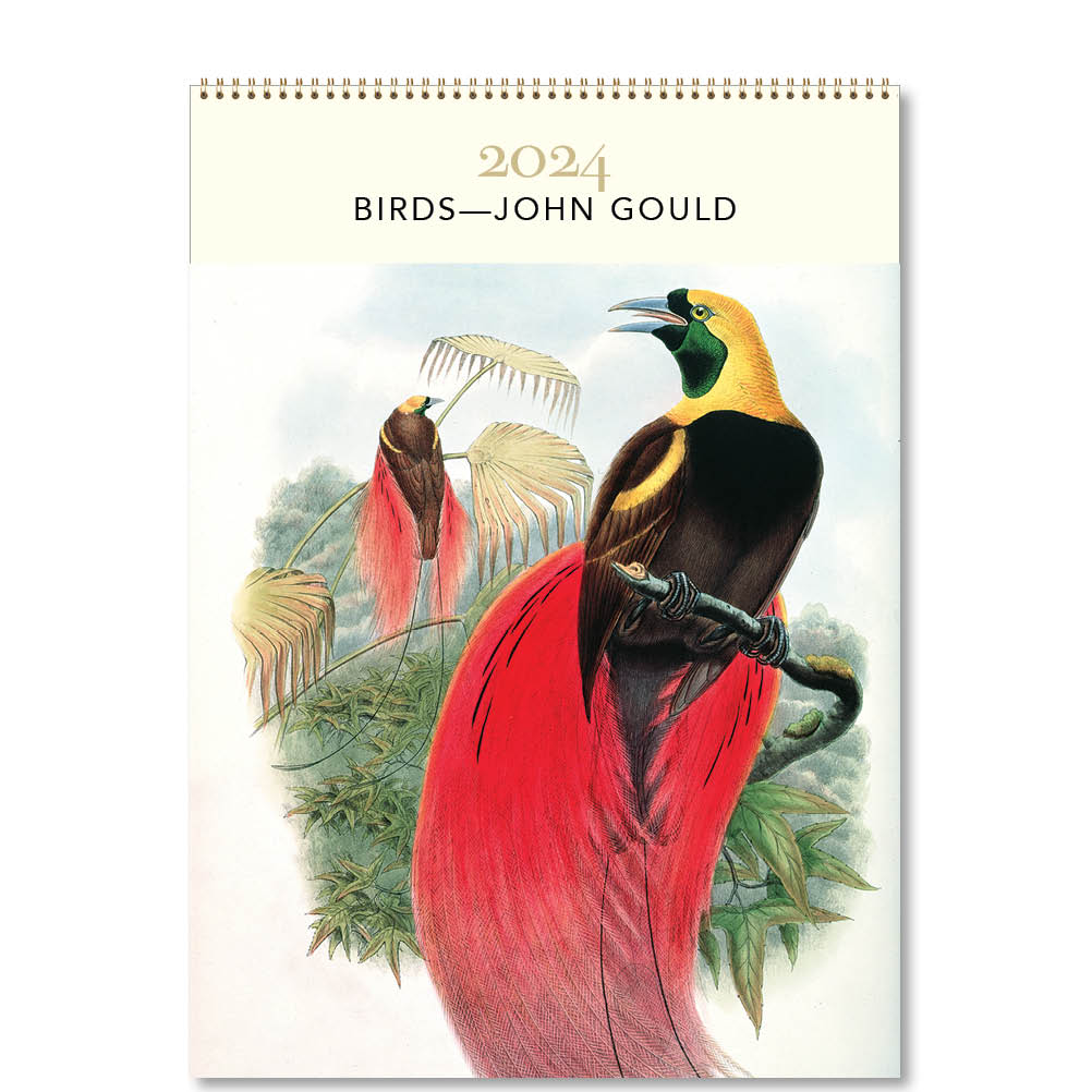 2024 Birds-John Gould - Deluxe Wall Calendar