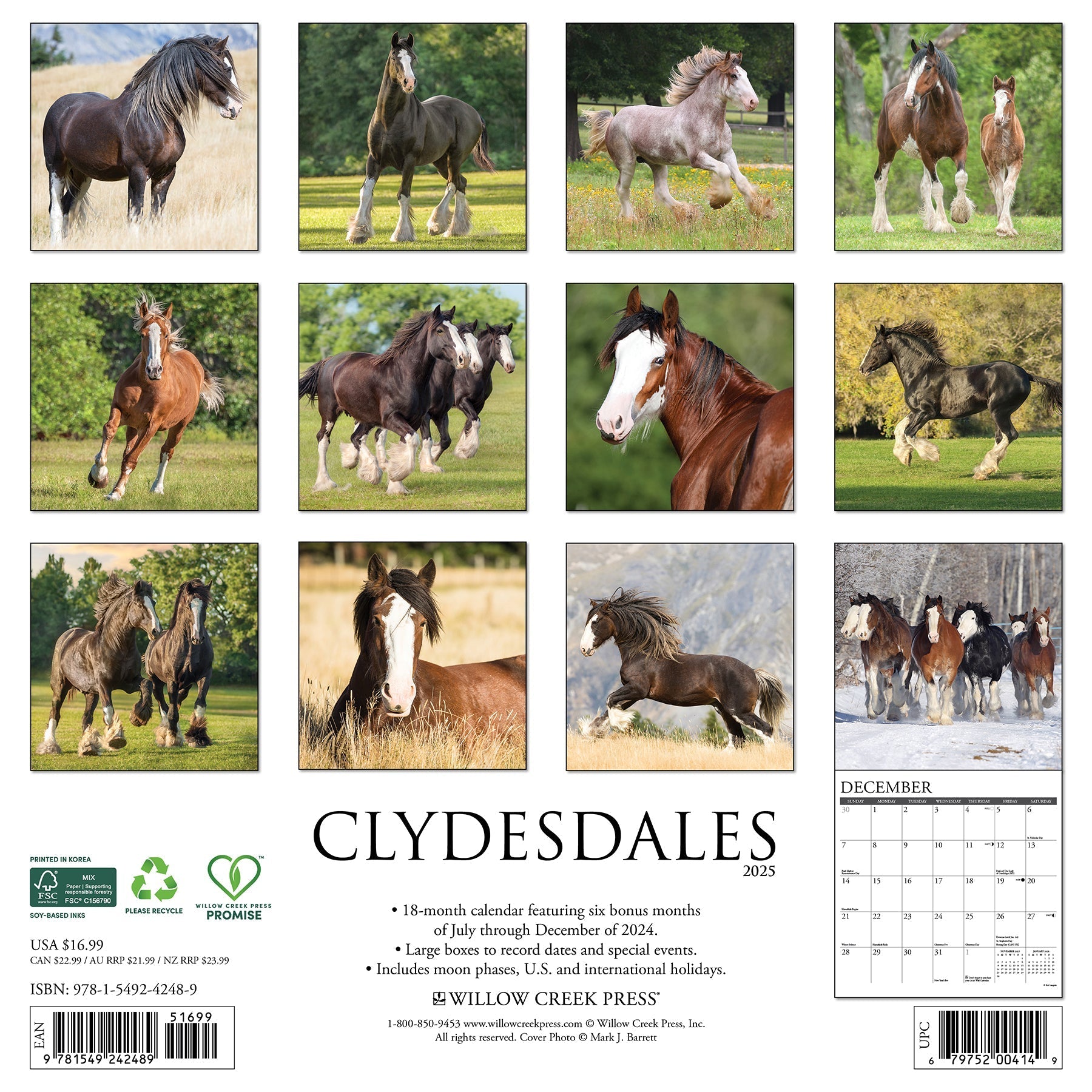 2025 Clydesdales - Square Wall Calendar (US Only)