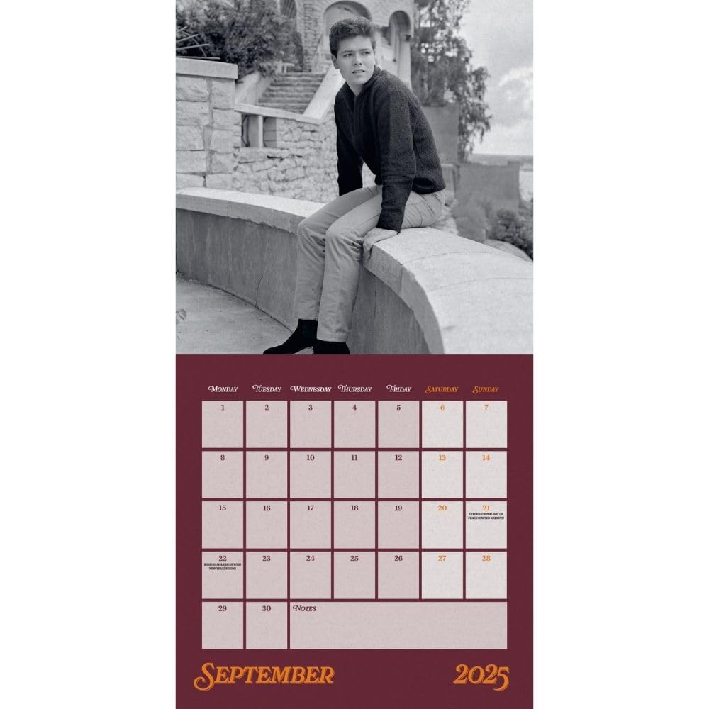 2025 Cliff Richard Collector's Edition Record Sleeve - Square Wall Calendar