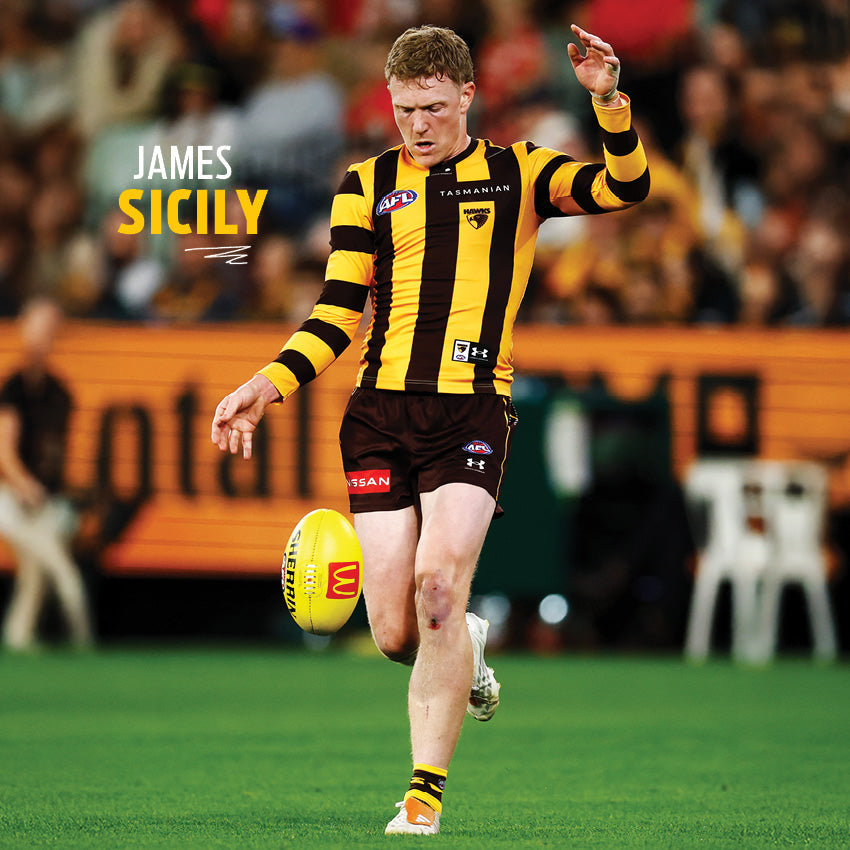 2027 AFL Hawthorn Hawks calendar image 3