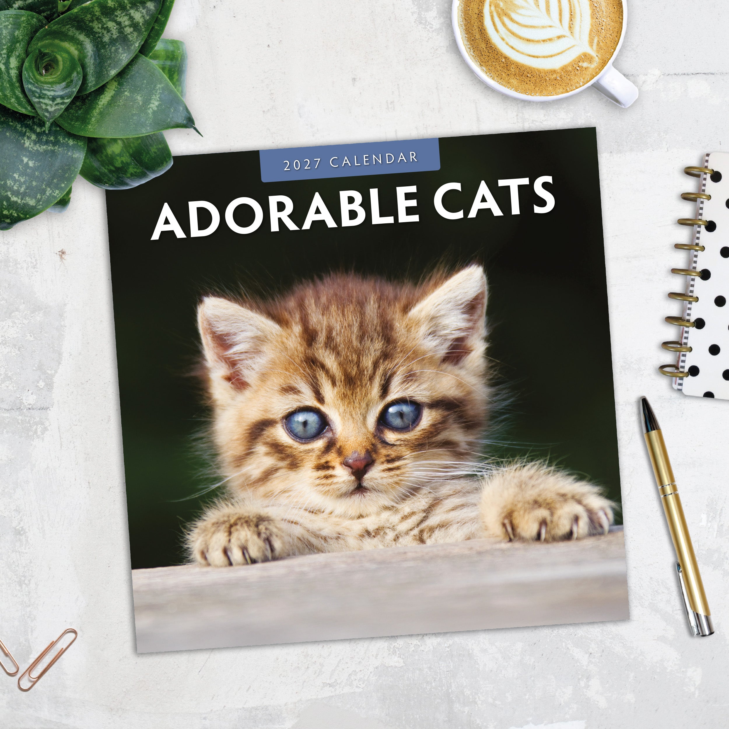 2027 Adorable Cats - Square Wall Calendar
