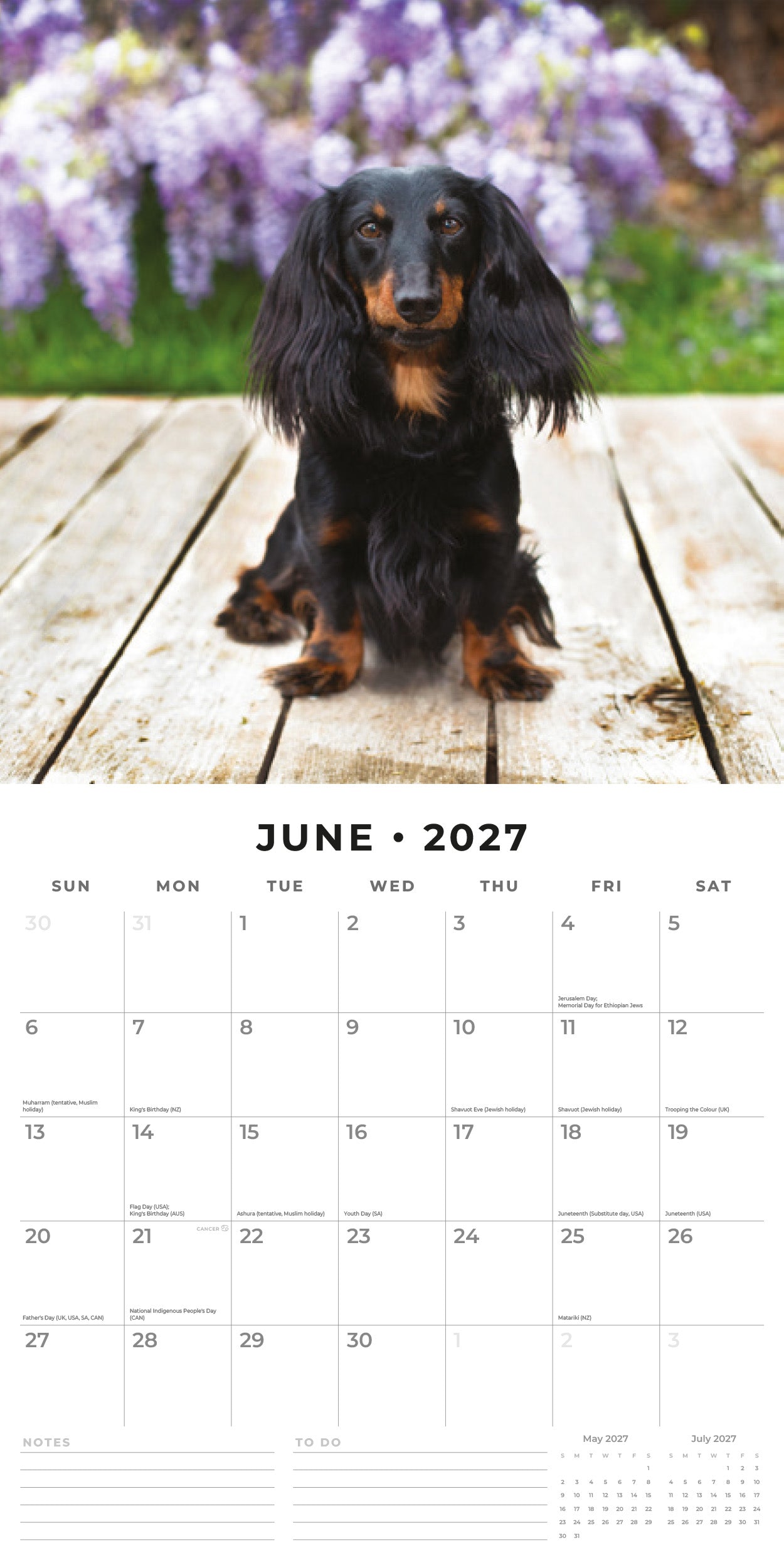 2027 Adorable Dogs - Square Wall Calendar
