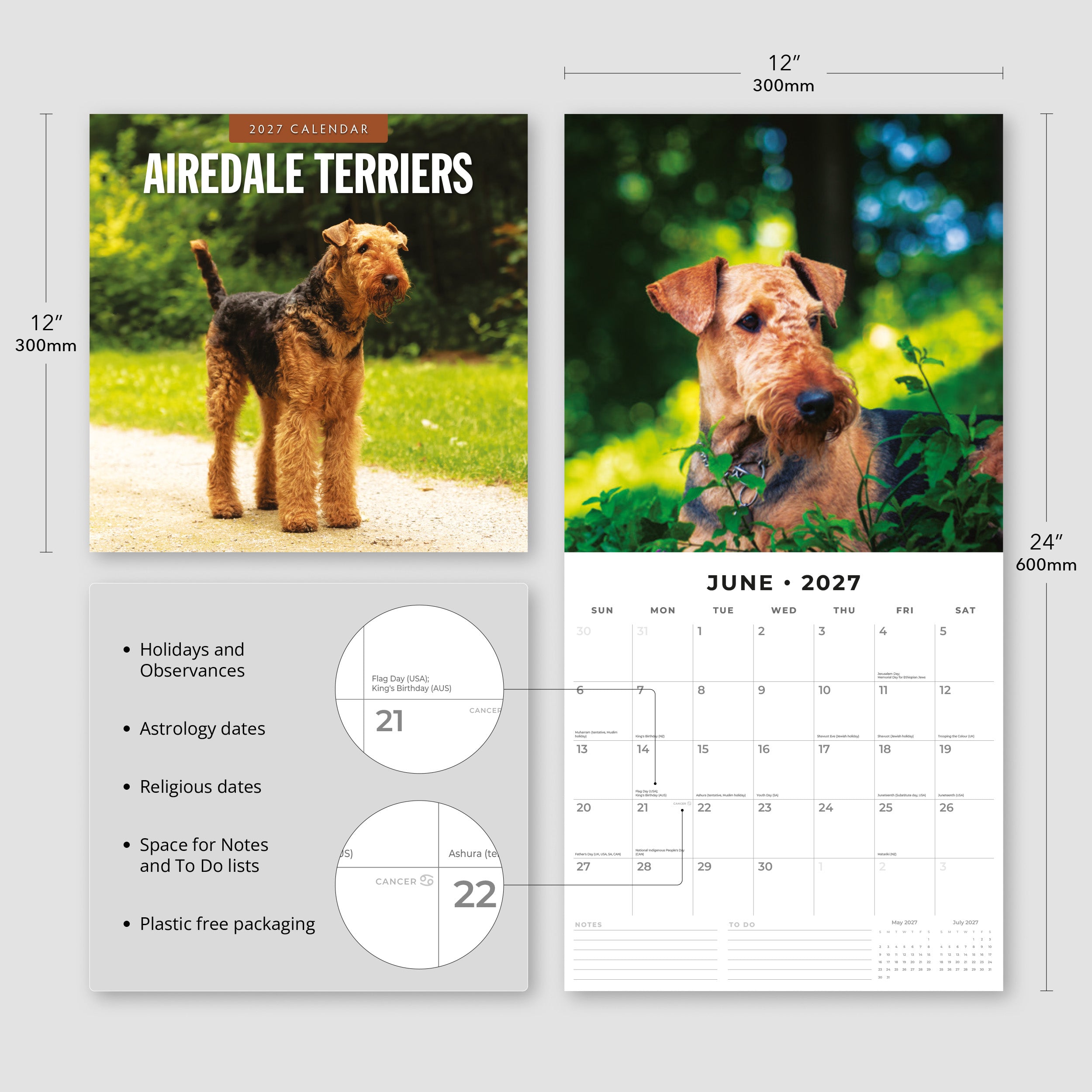 2027 Airedale Terriers - Square Wall Calendar