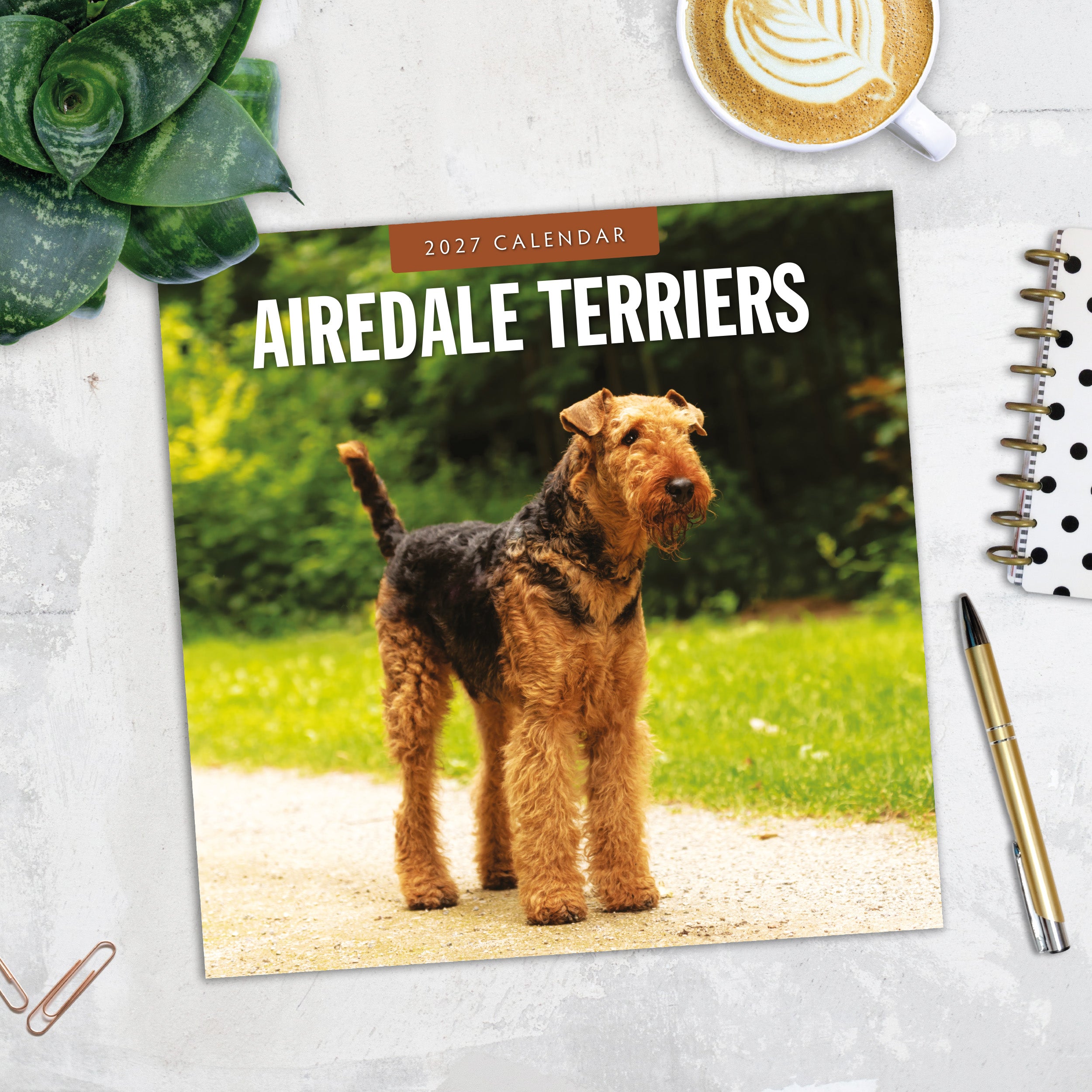2027 Airedale Terriers - Square Wall Calendar