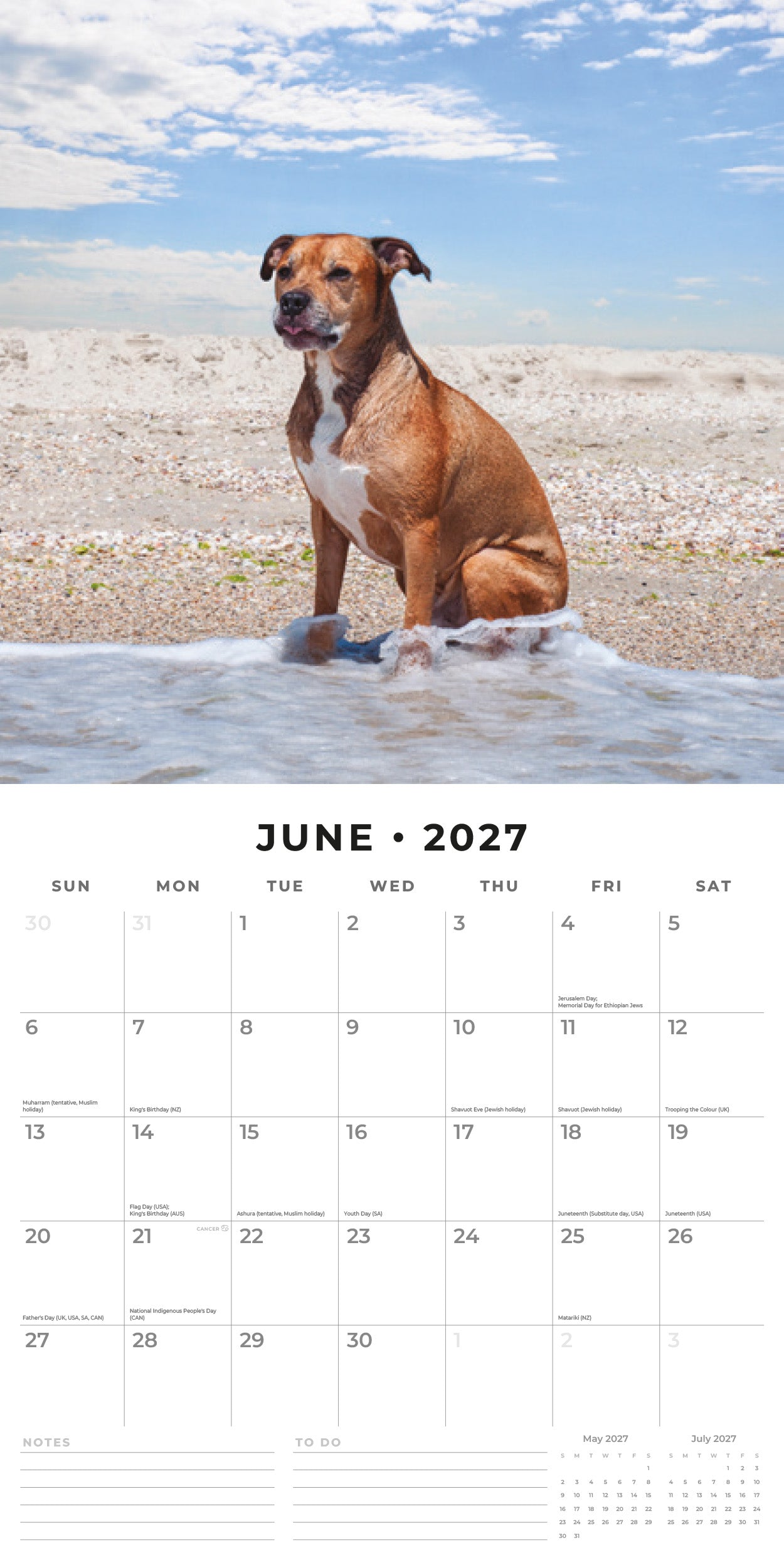 2027 American Pit Bull Terriers - Square Wall Calendar