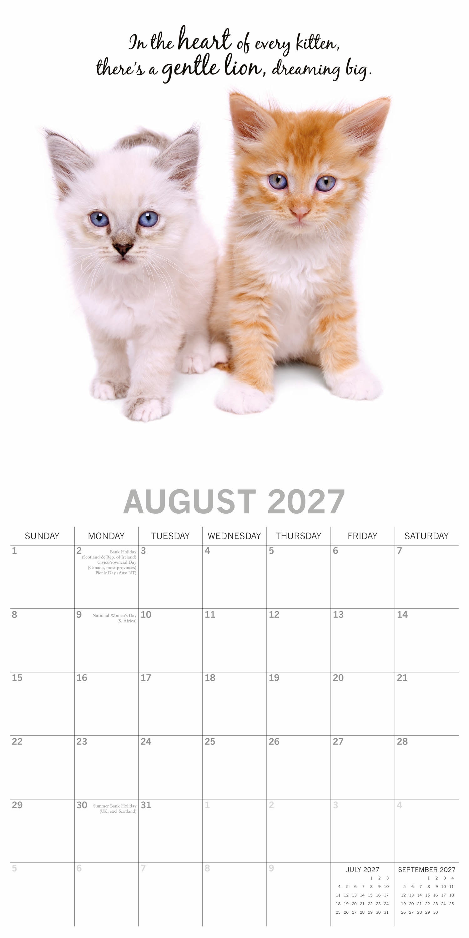Animals_Adorable_Cats_2027_Aug.jpg