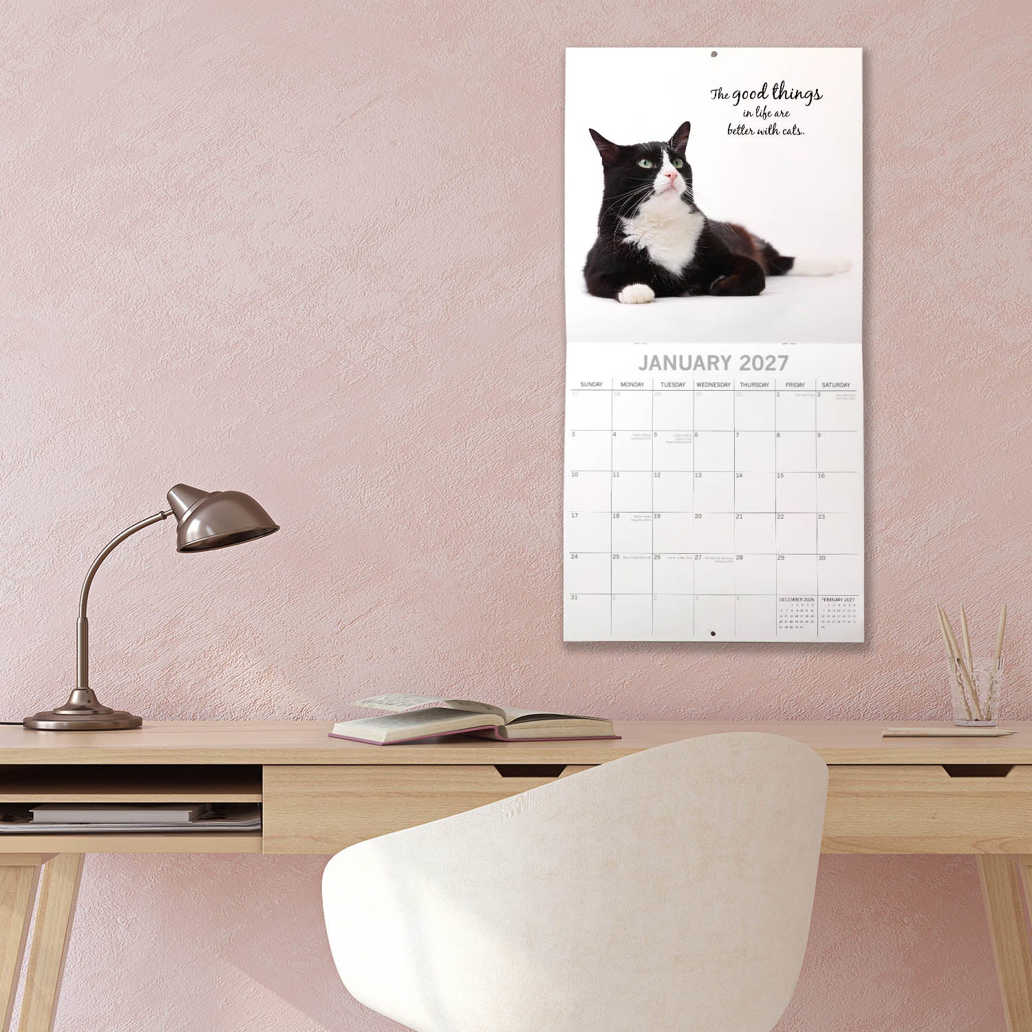 Animals_Adorable_Cats_2027_Jan_LS.jpg