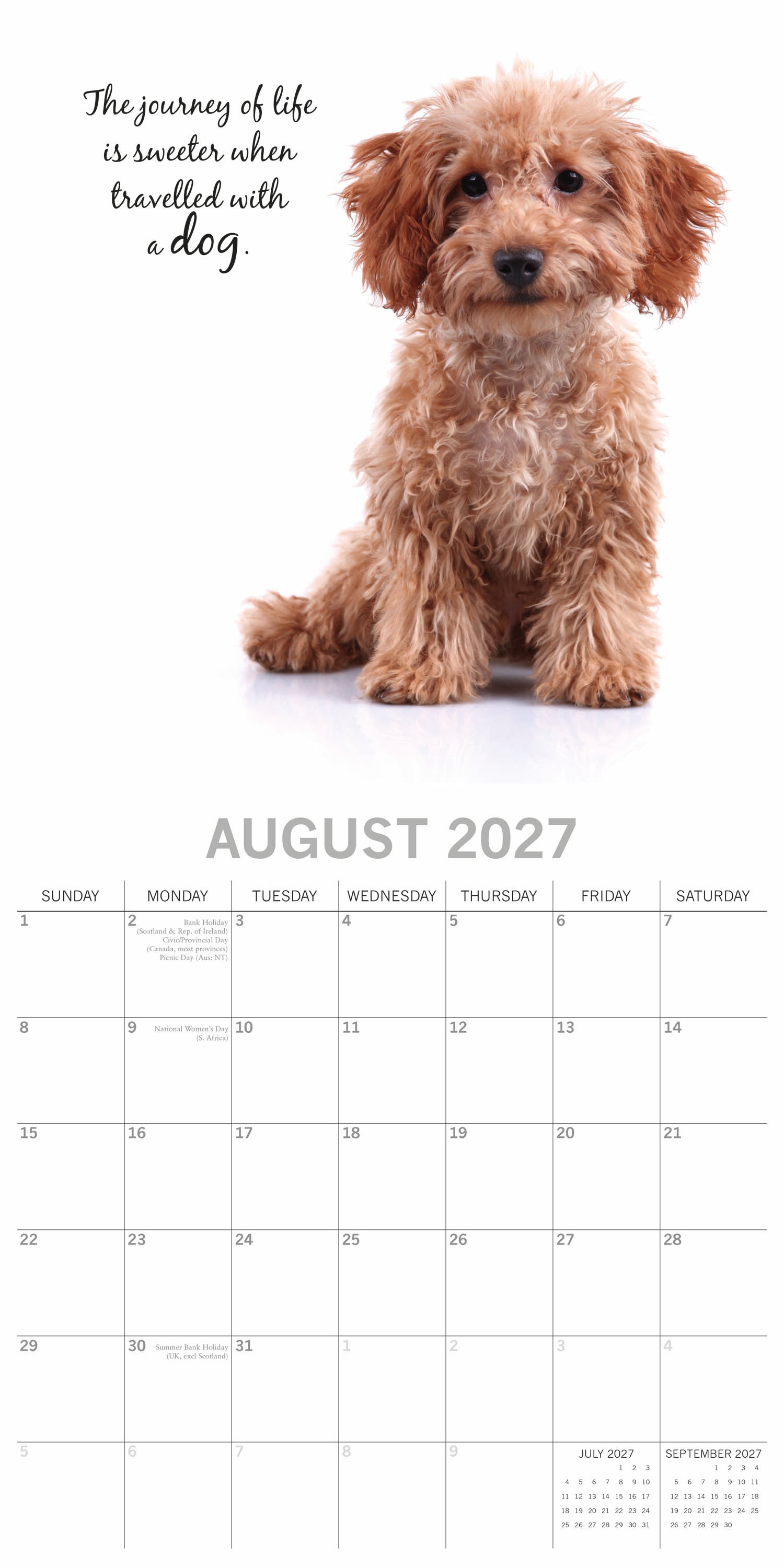 Animals_Adorable_Dogs_2027_Aug.jpg