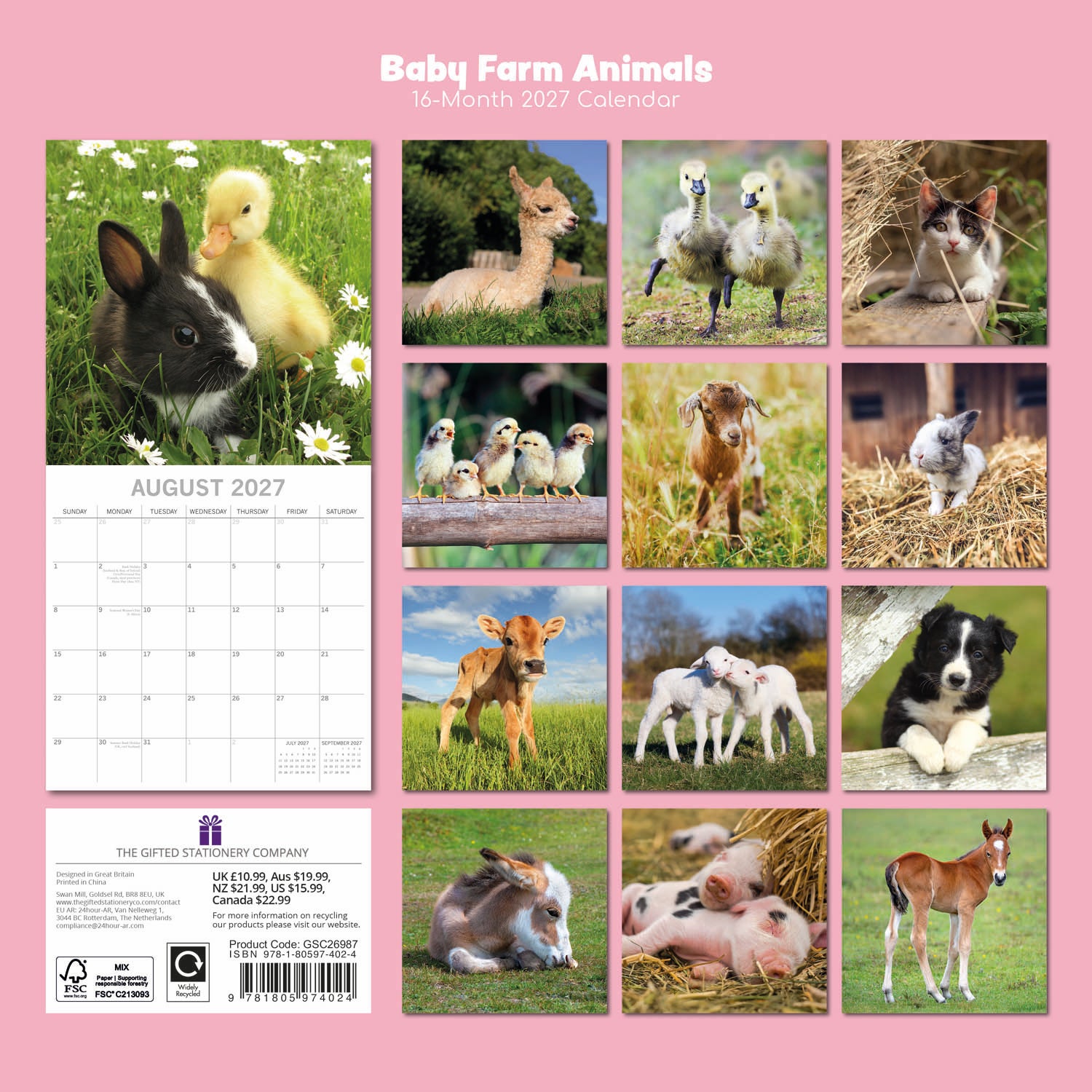 Animals_Baby_Farm_Animals_2027_Back.jpg