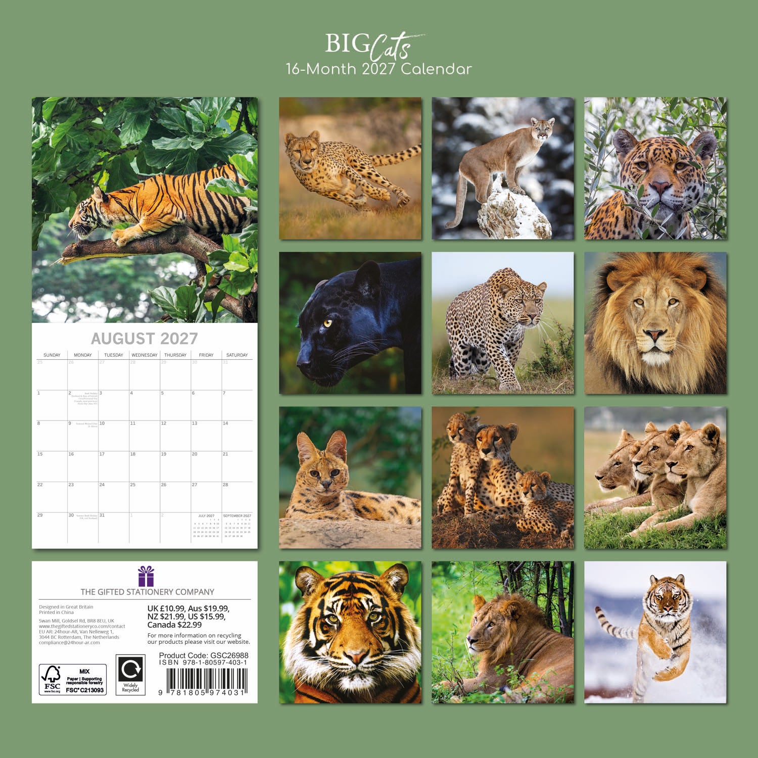 Animals_Big_Cats_2027_Back.jpg