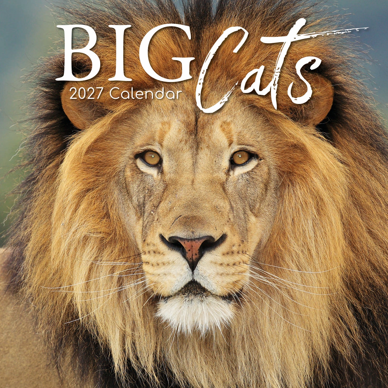 Animals_Big_Cats_2027_Cover.jpg