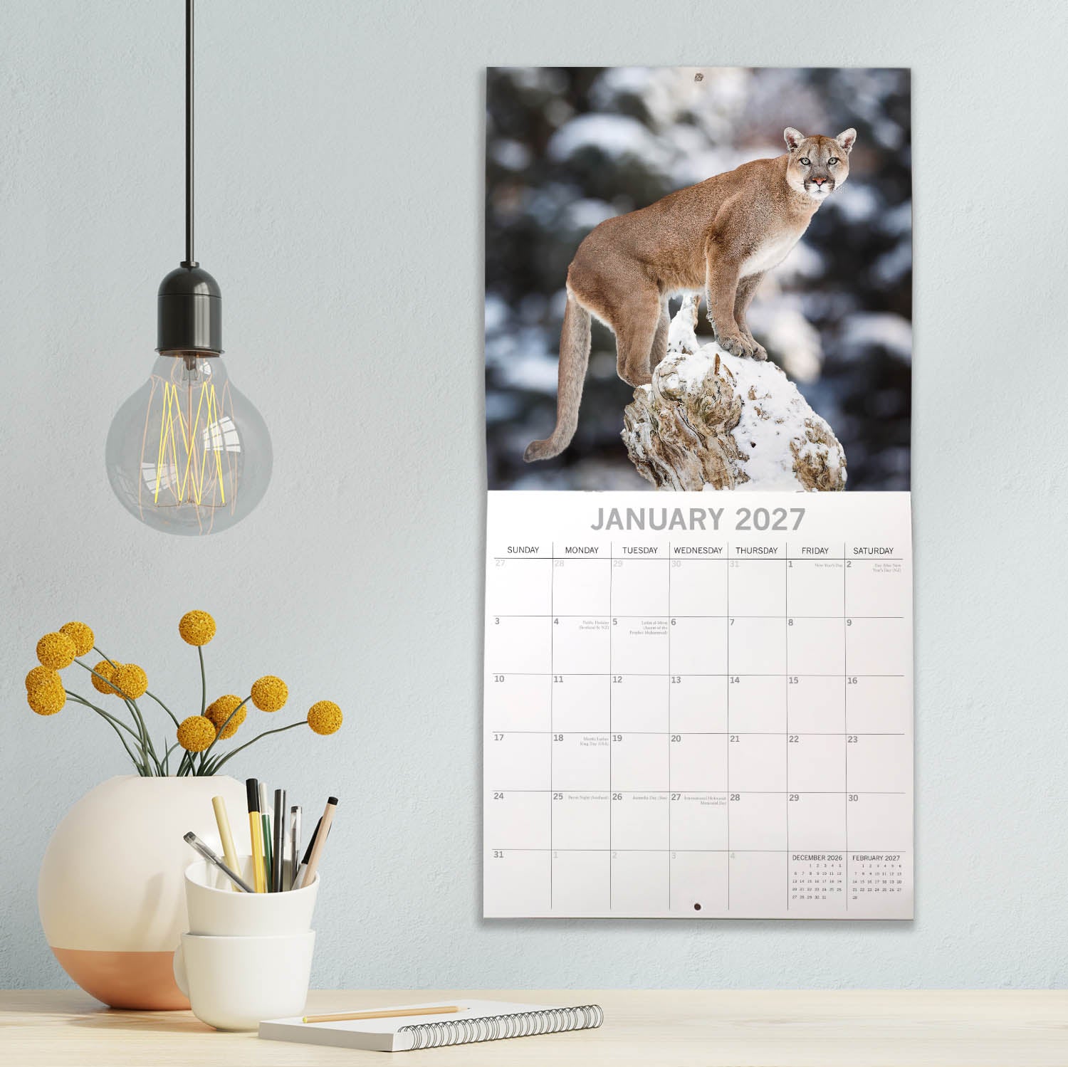 Animals_Big_Cats_2027_Jan_LS.jpg