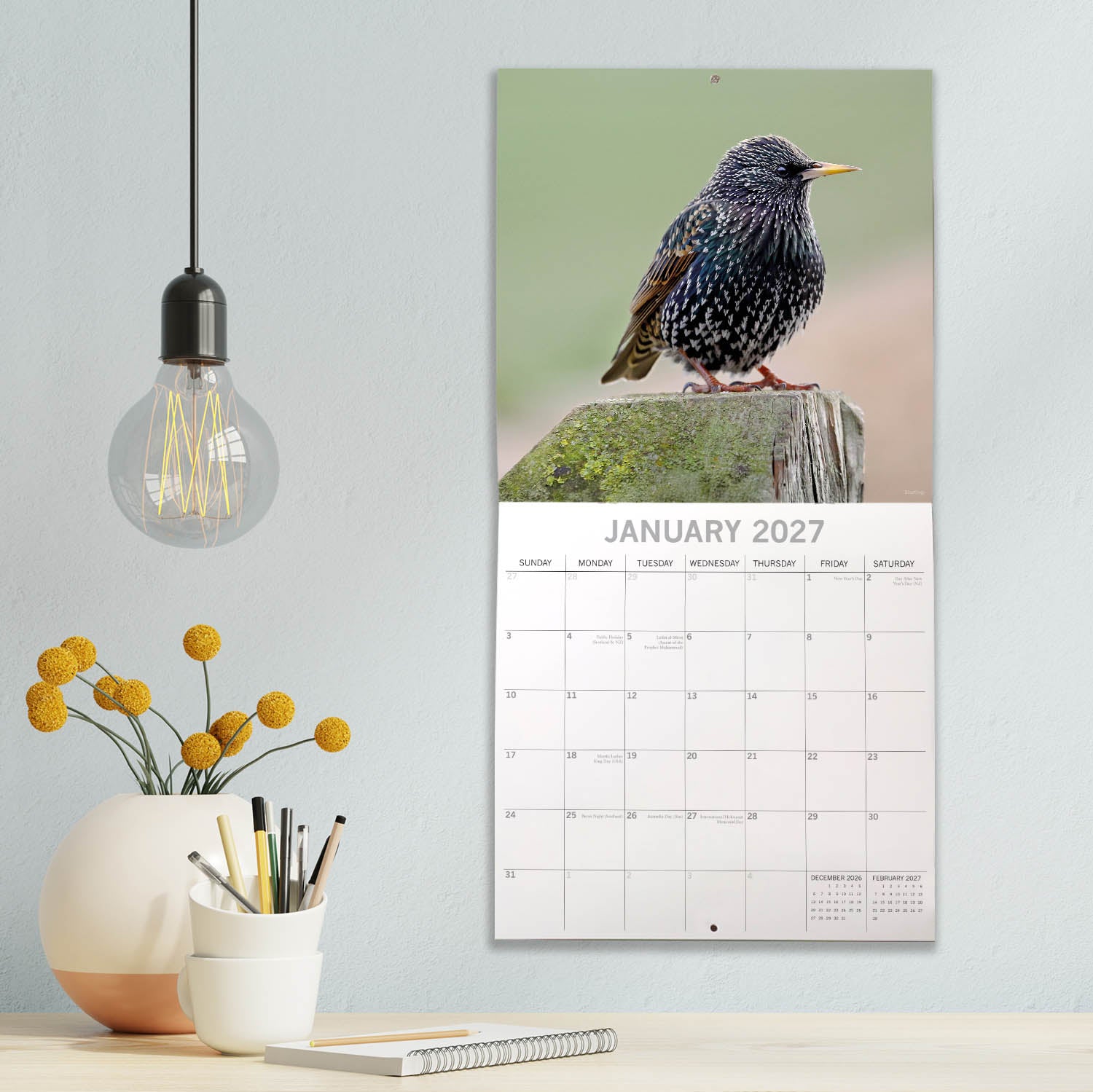 Animals_Birds_2027_Jan_LS.jpg