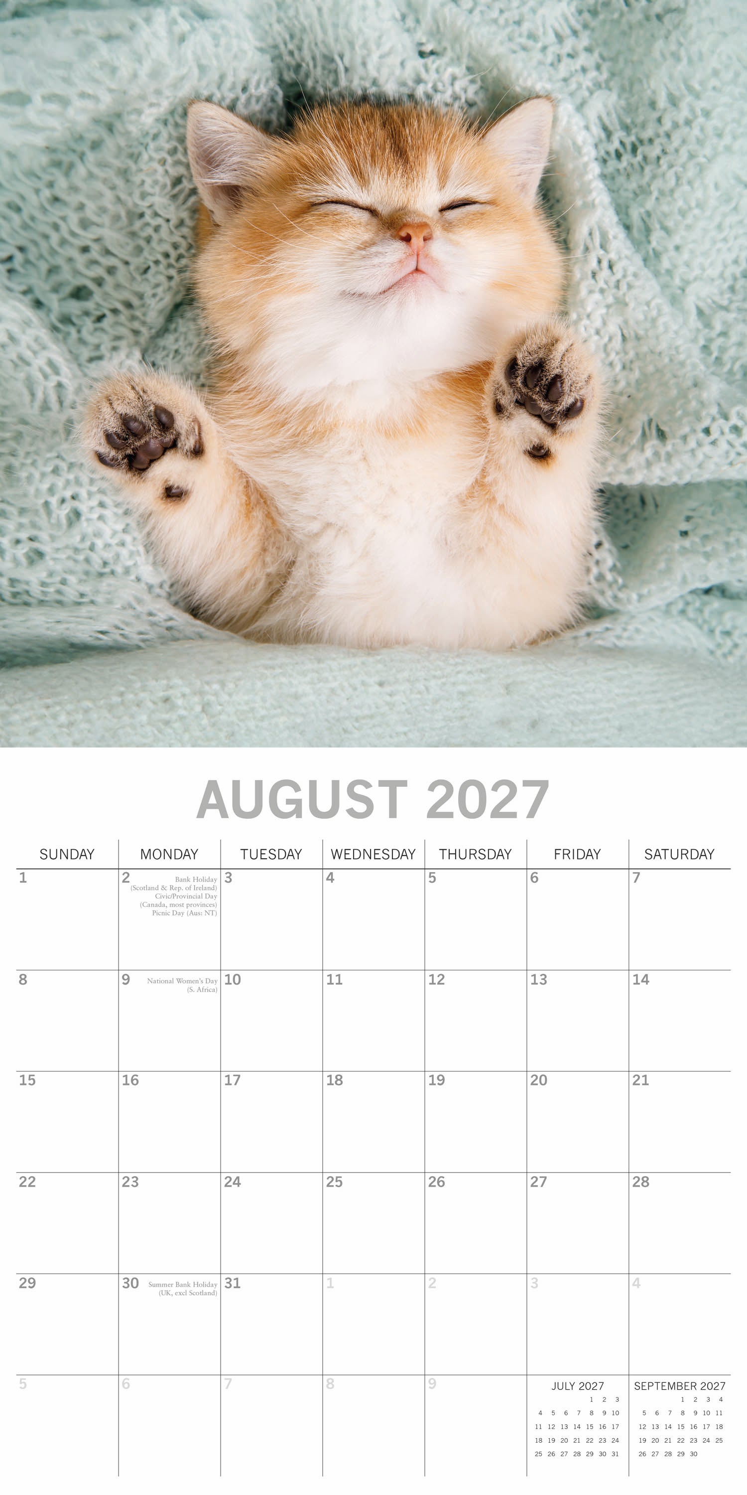Animals_Cat_Naps_2027_Aug.jpg