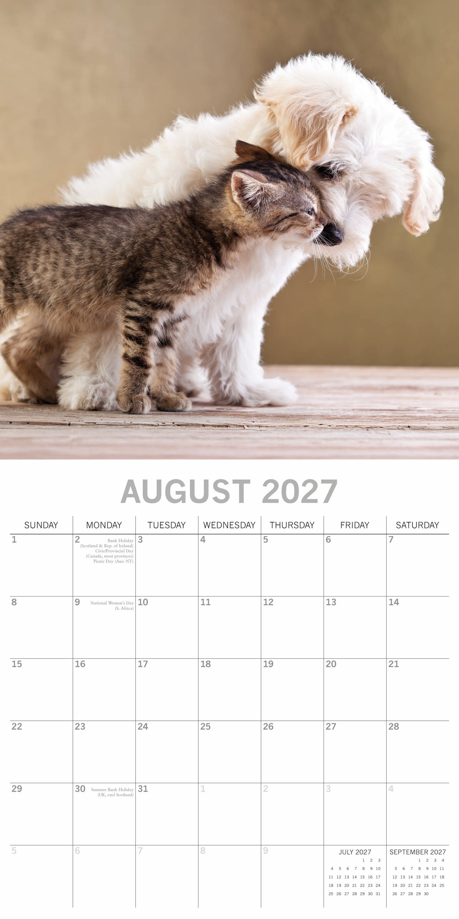 Animals_Cats___Dogs_2027_Aug.jpg