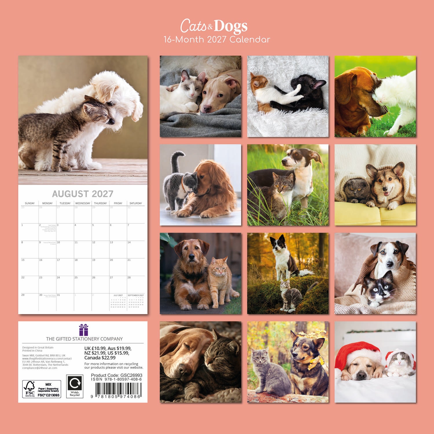 Animals_Cats___Dogs_2027_Back.jpg