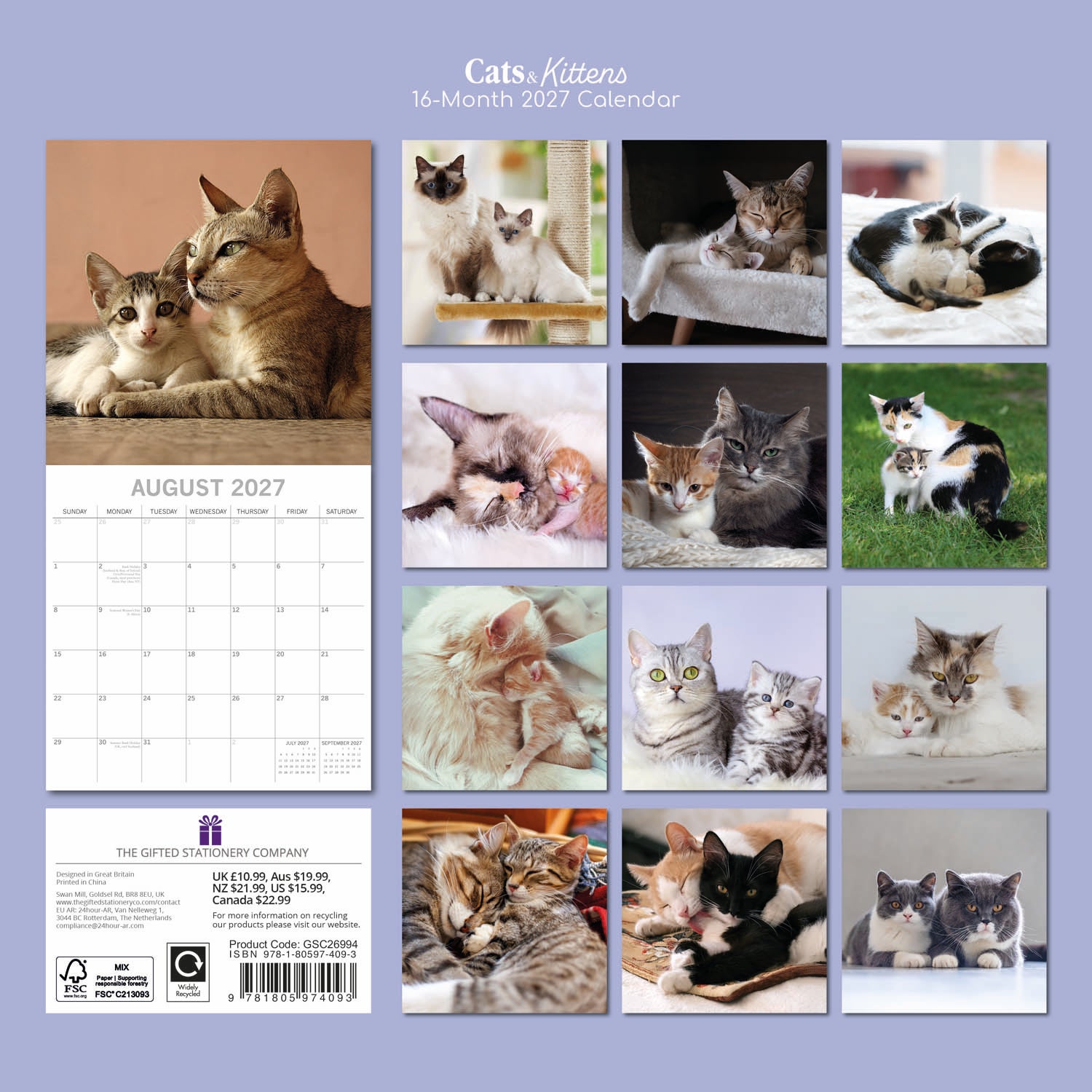Animals_Cats___Kittens_2027_Back.jpg