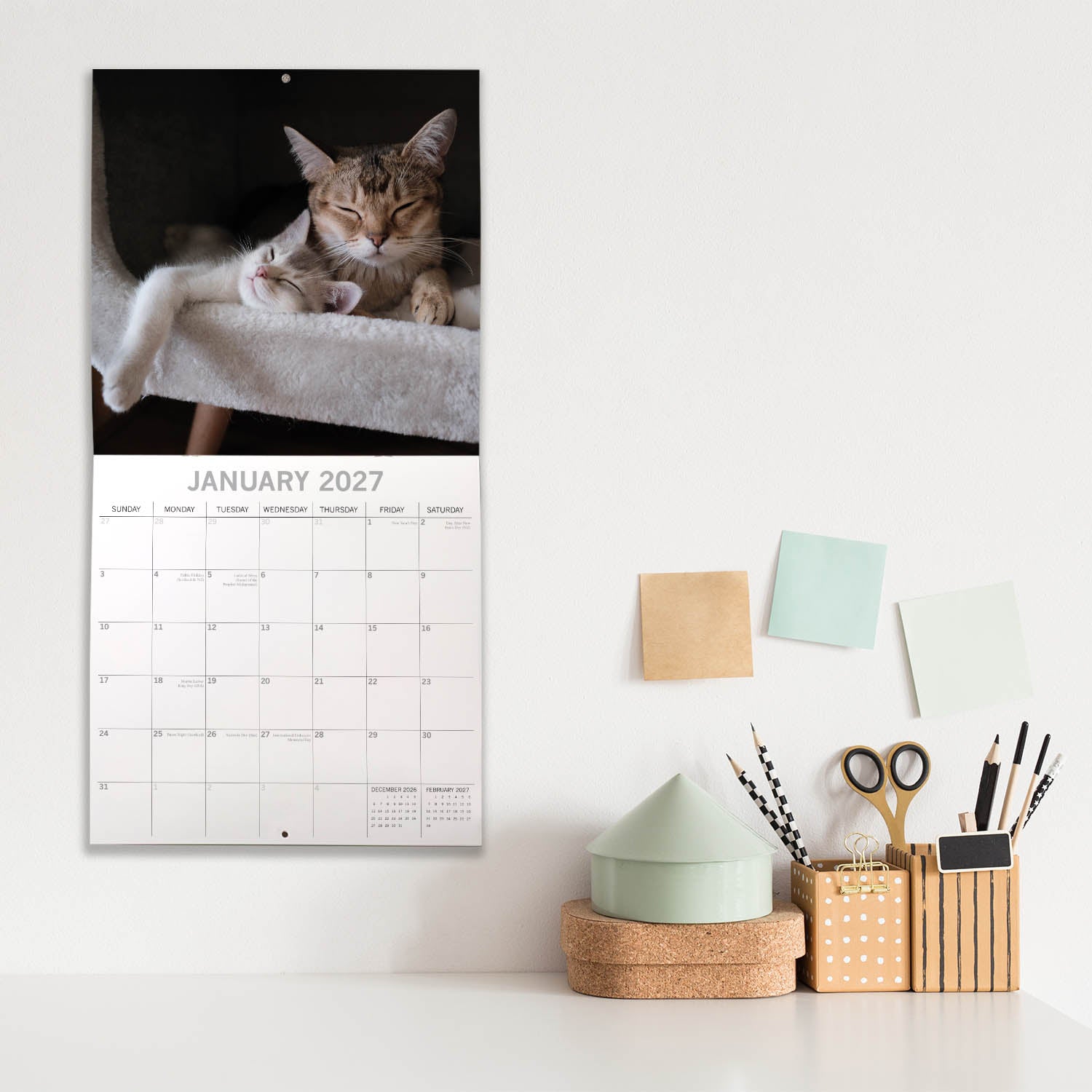 Animals_Cats___Kittens_2027_Jan_LS.jpg