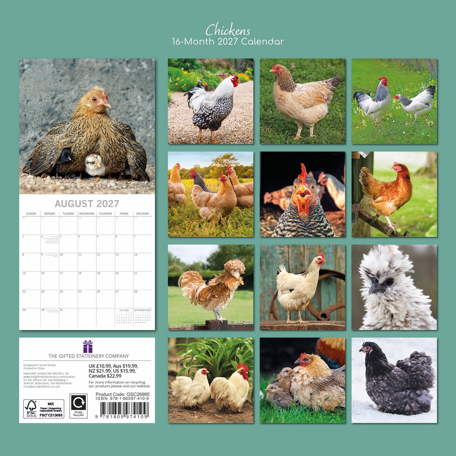 Animals_Chickens_2027_Back.jpg
