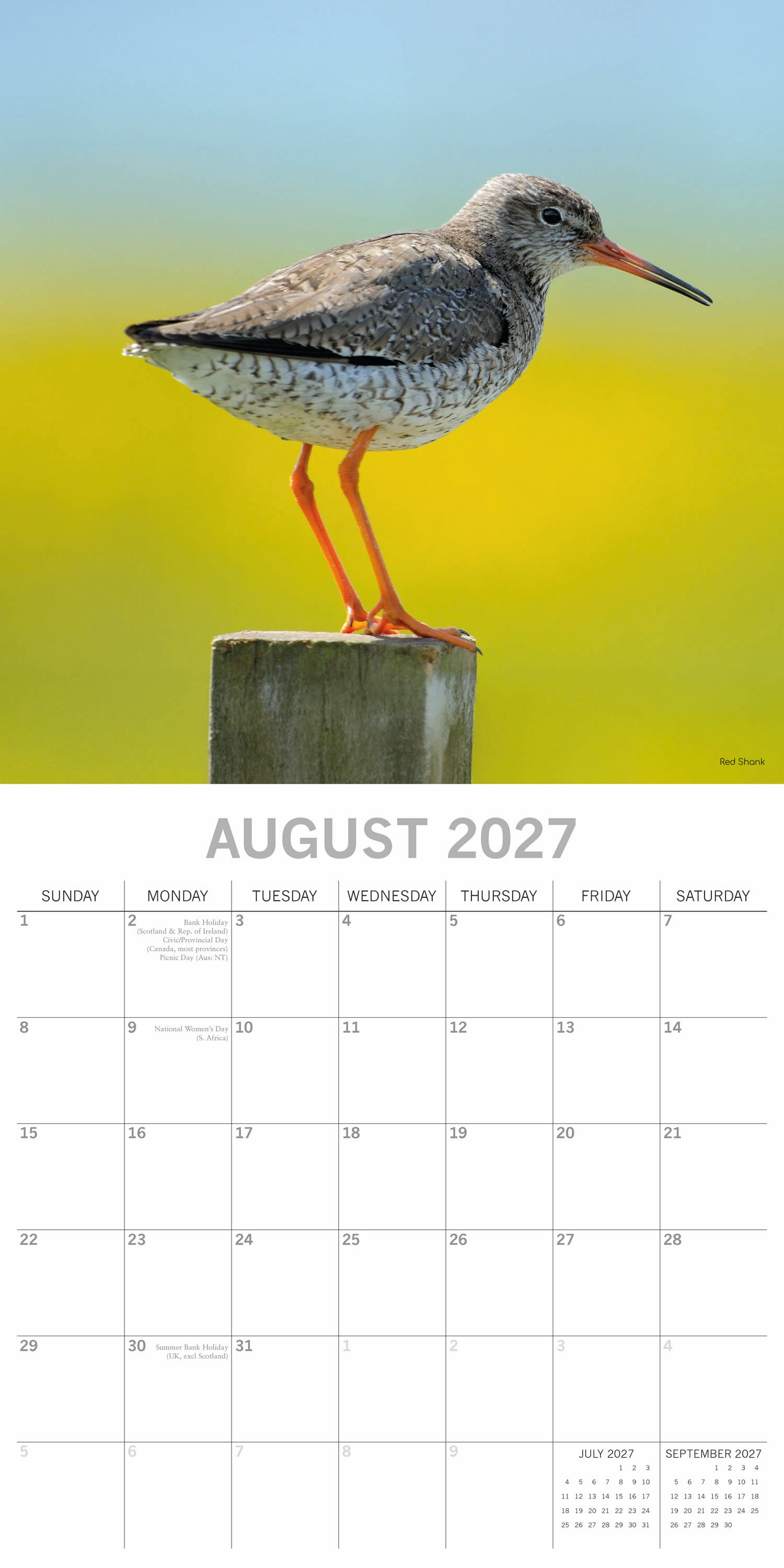 Animals_Coastal_Birds_2027_Aug.jpg
